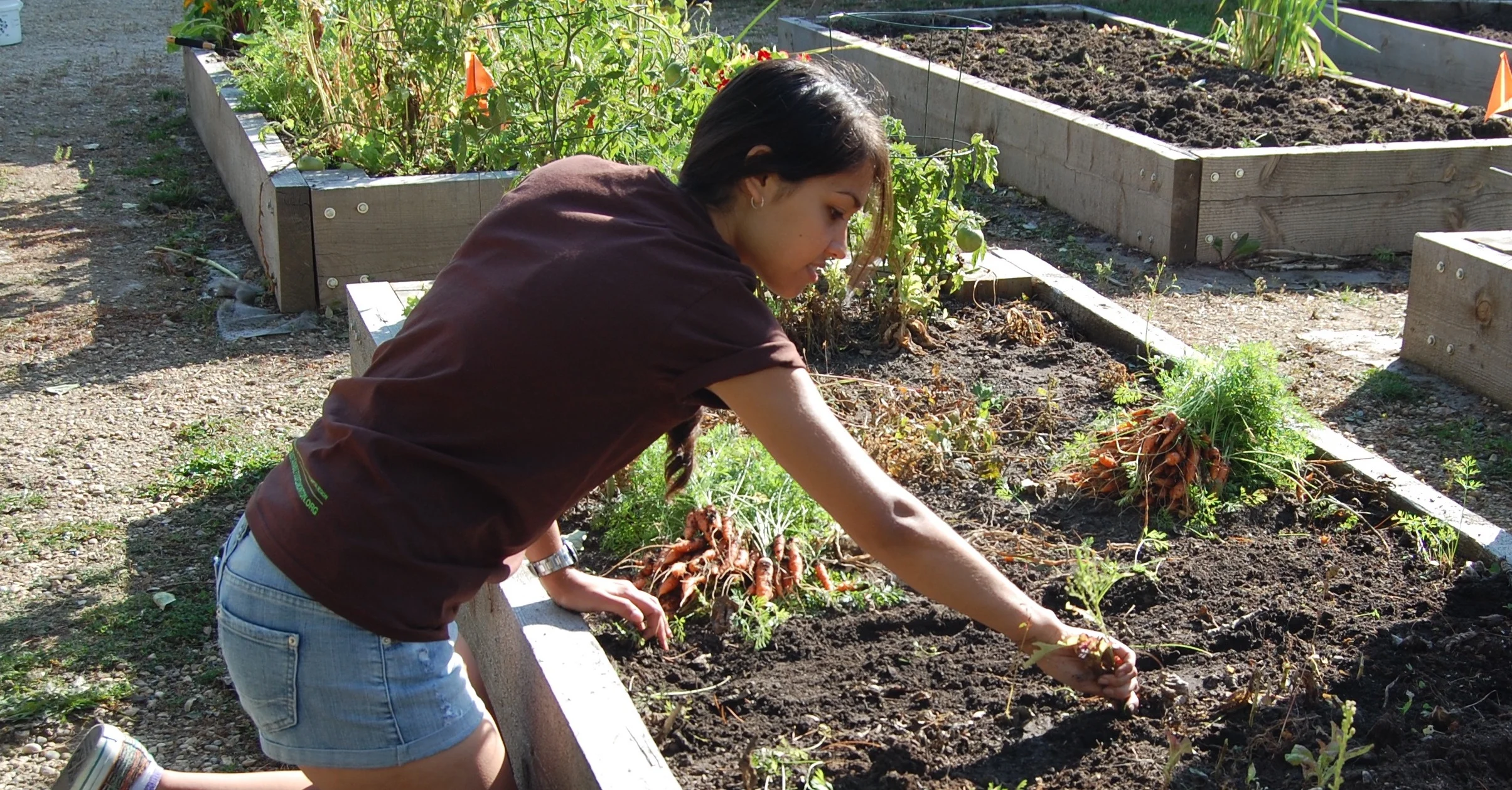 Urban Ag High Program Could Be Coming to Edmonton Schools