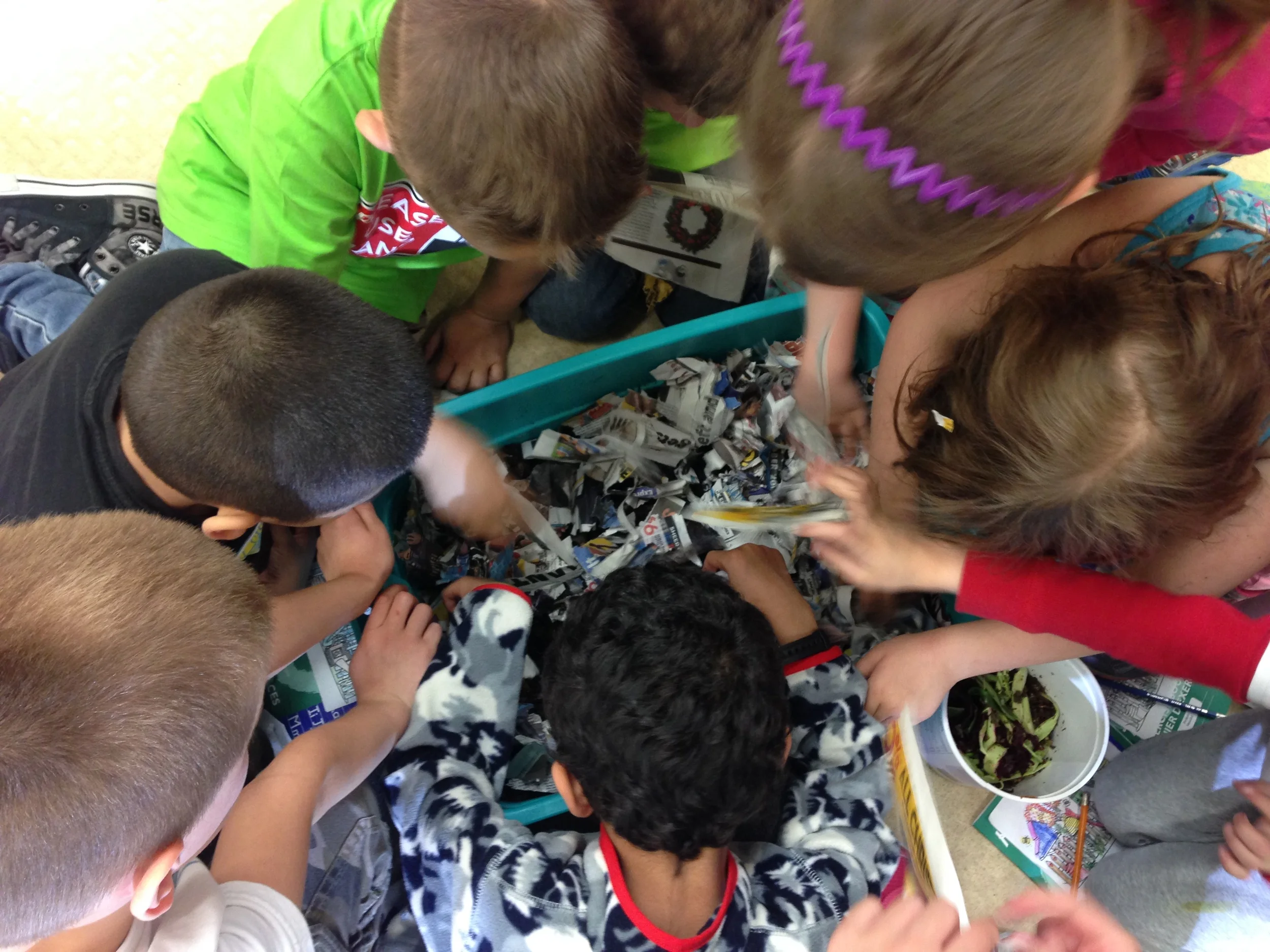 Ripping newspaper to make worm bin bedding.