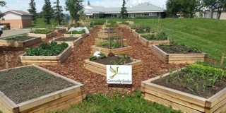 The Yellowbird Community Garden