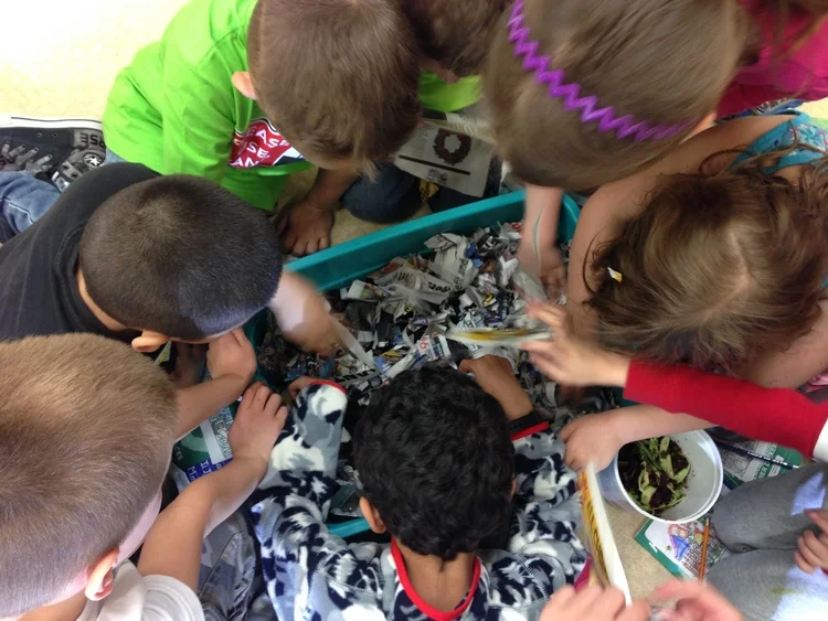 Little Green Thumbs Fall Update