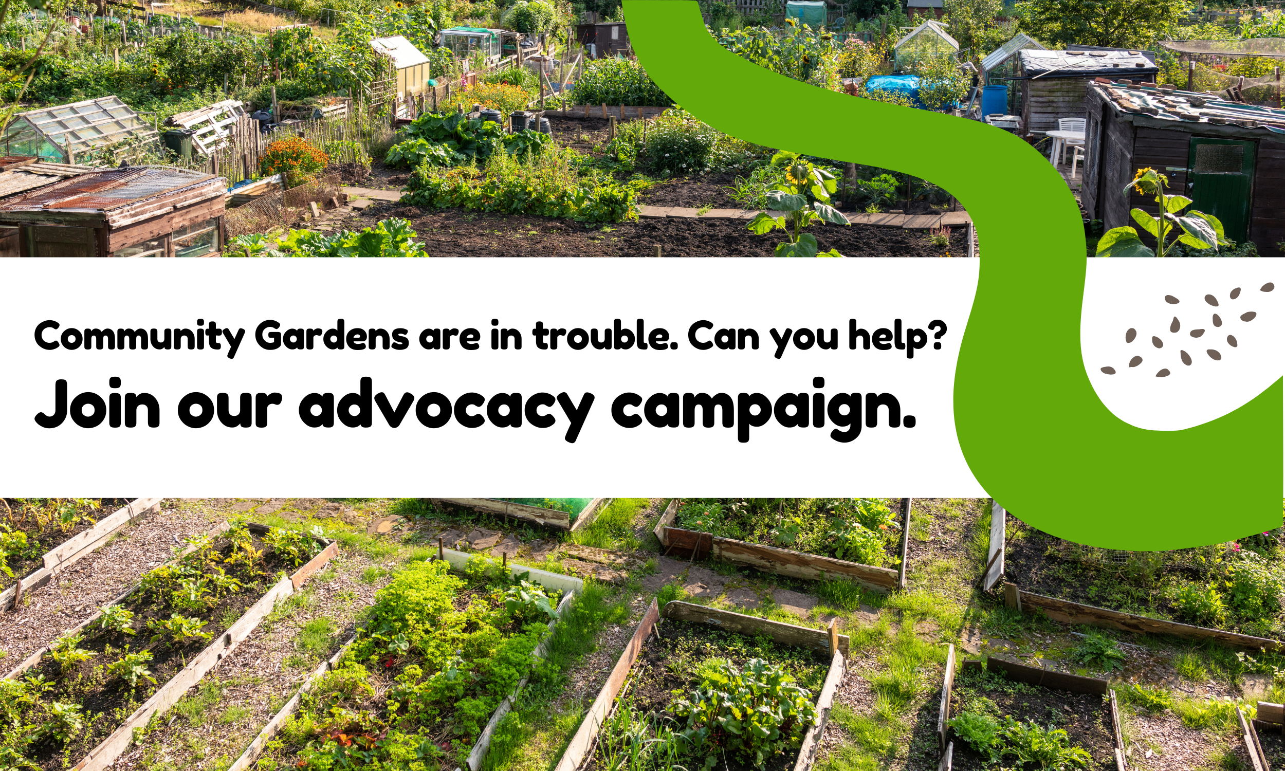 Advocacy Campaign  Website Header  (2500 x 1500 px).png