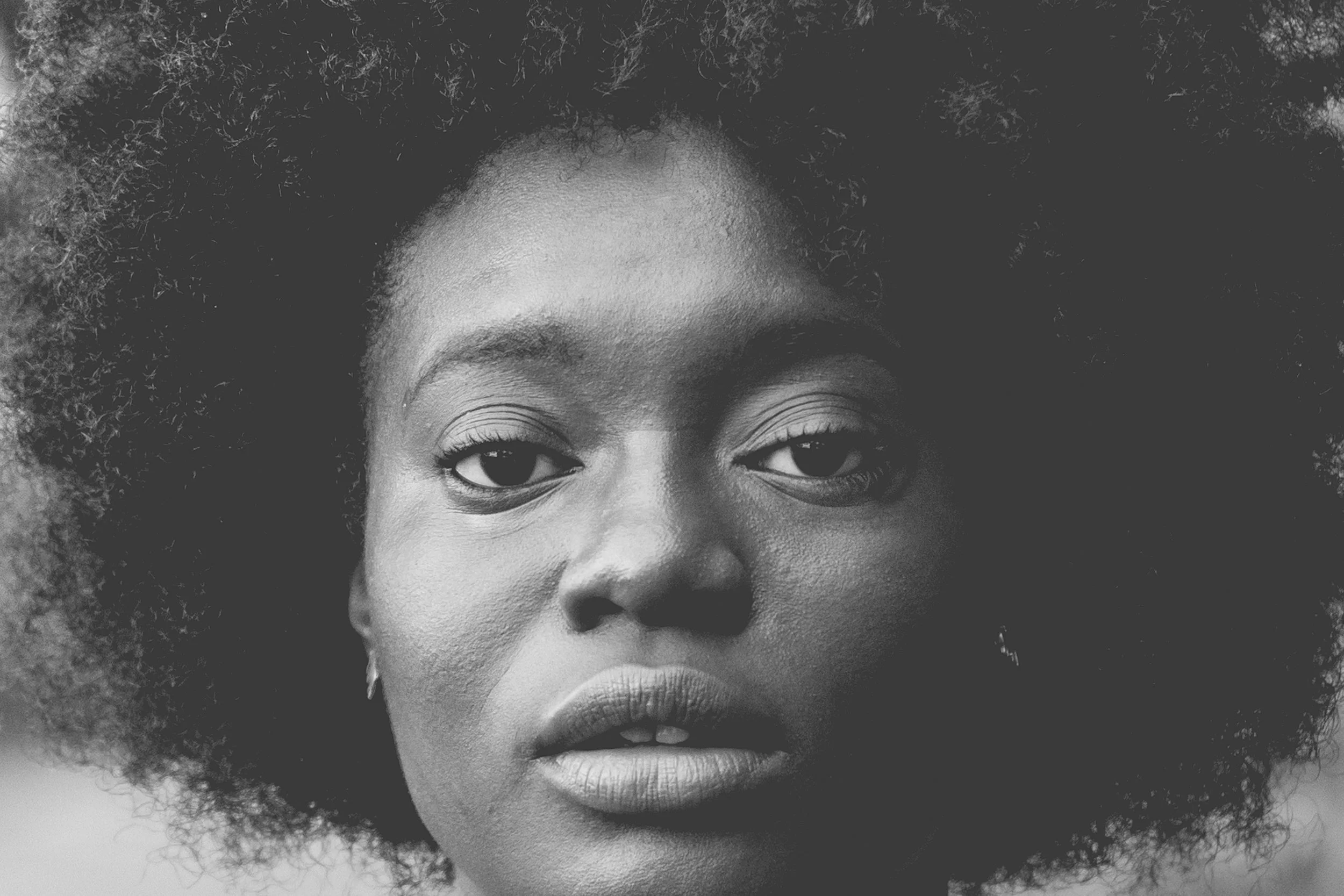Photo by William Stitt on Unsplash