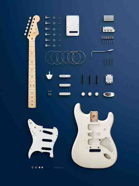 Fender Stratocaster Deconstructed