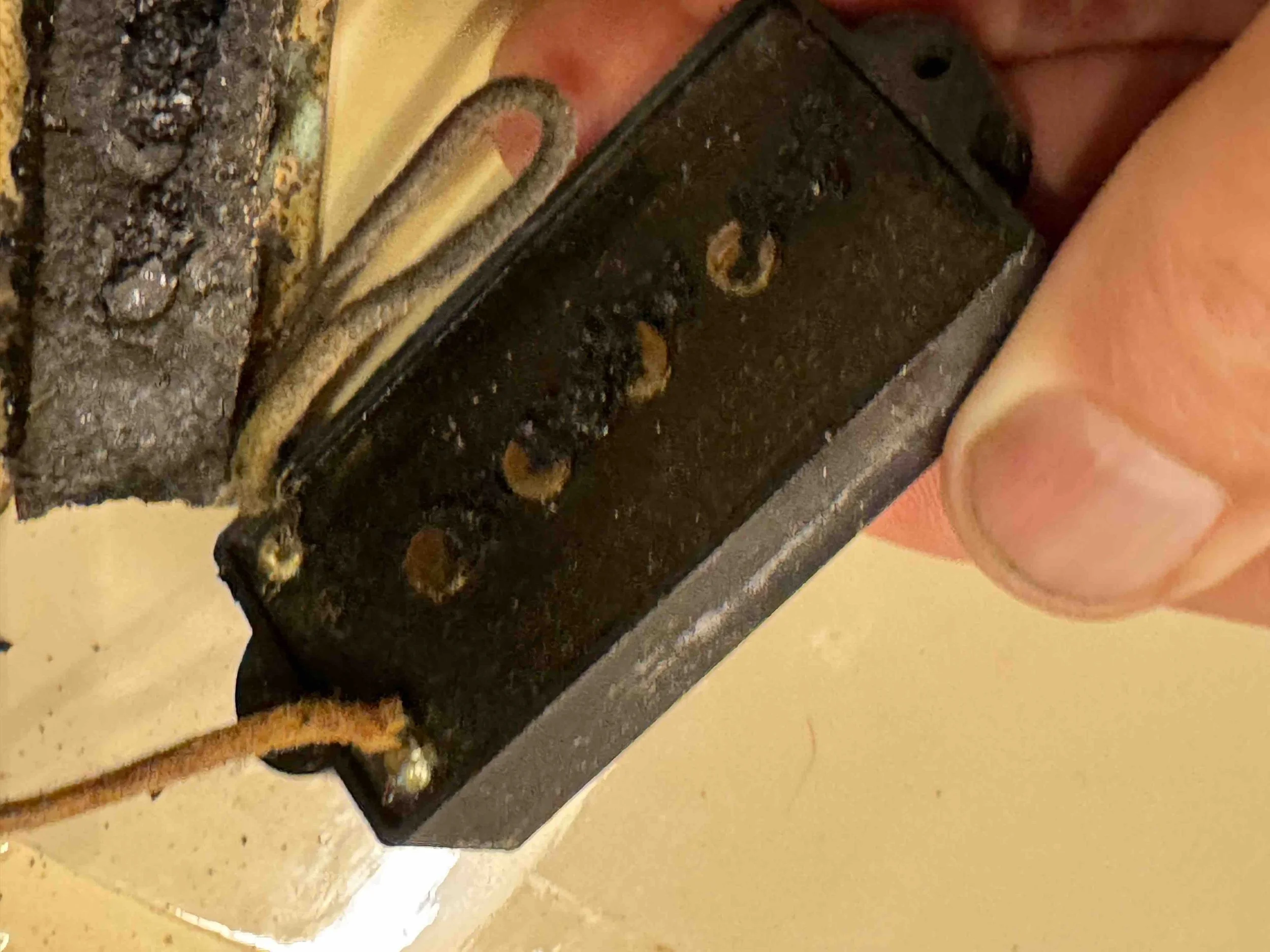 1959 fender bass pickup.jpg