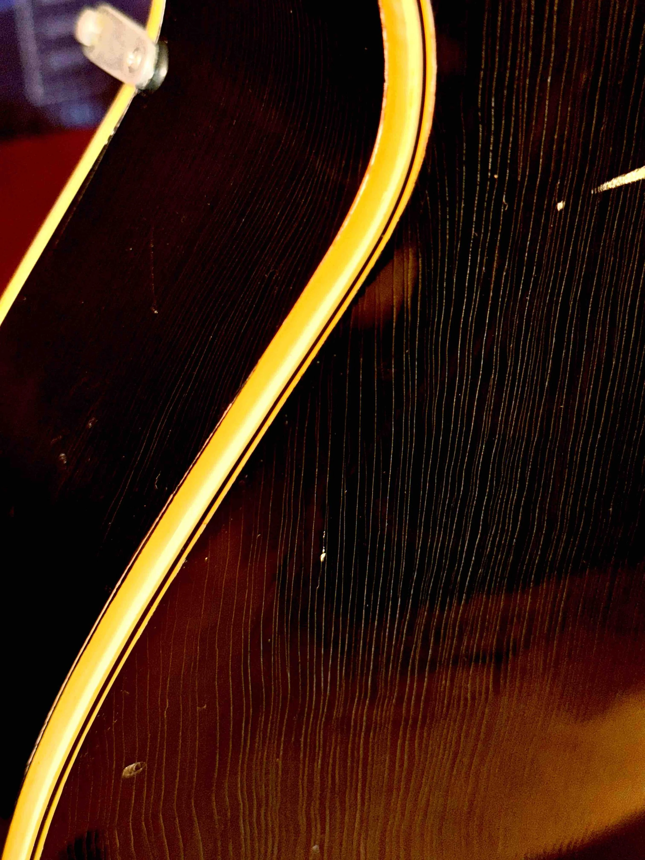 51 gibson back close.jpg
