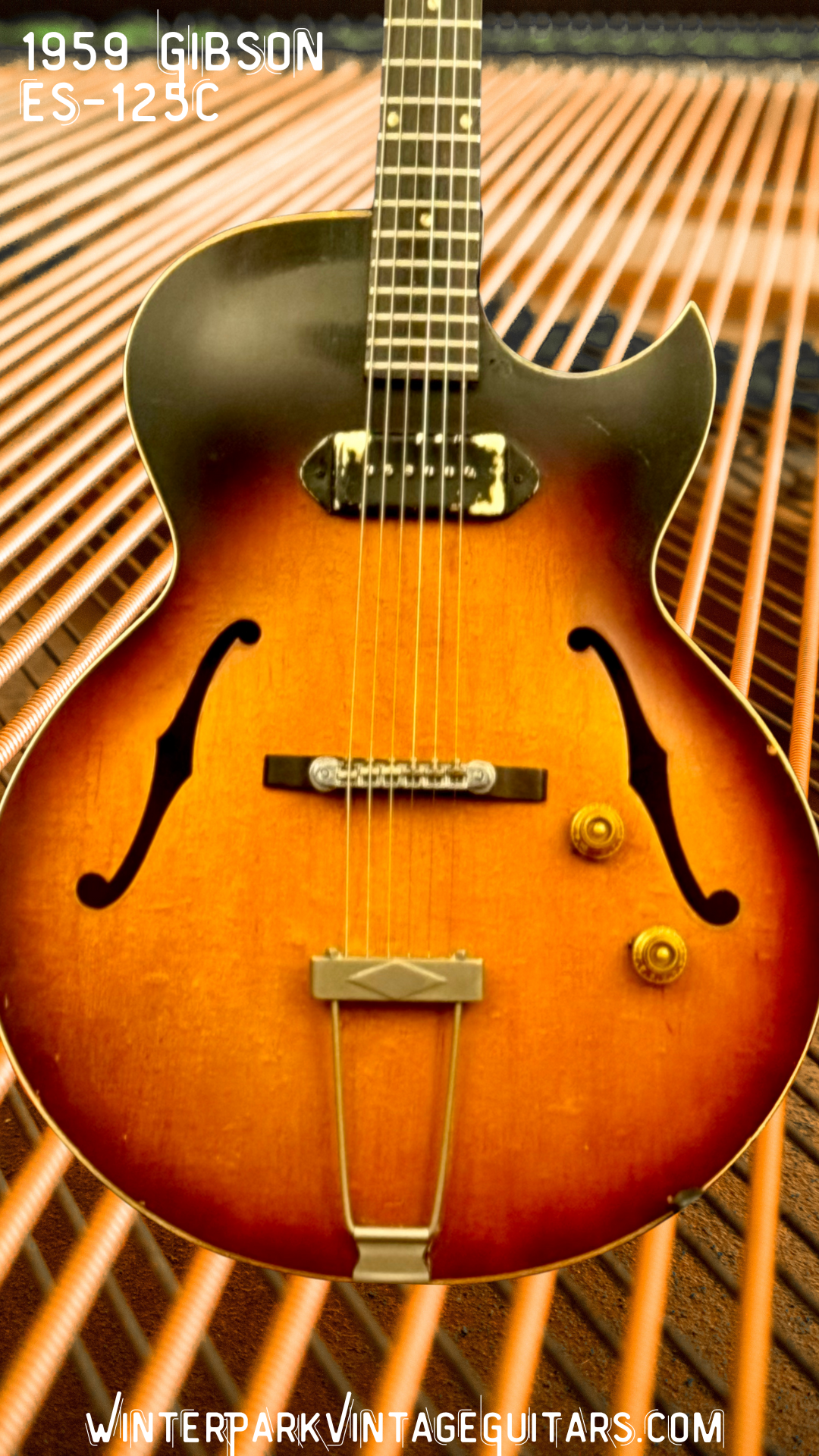 1959 Gibson es 125 c.png