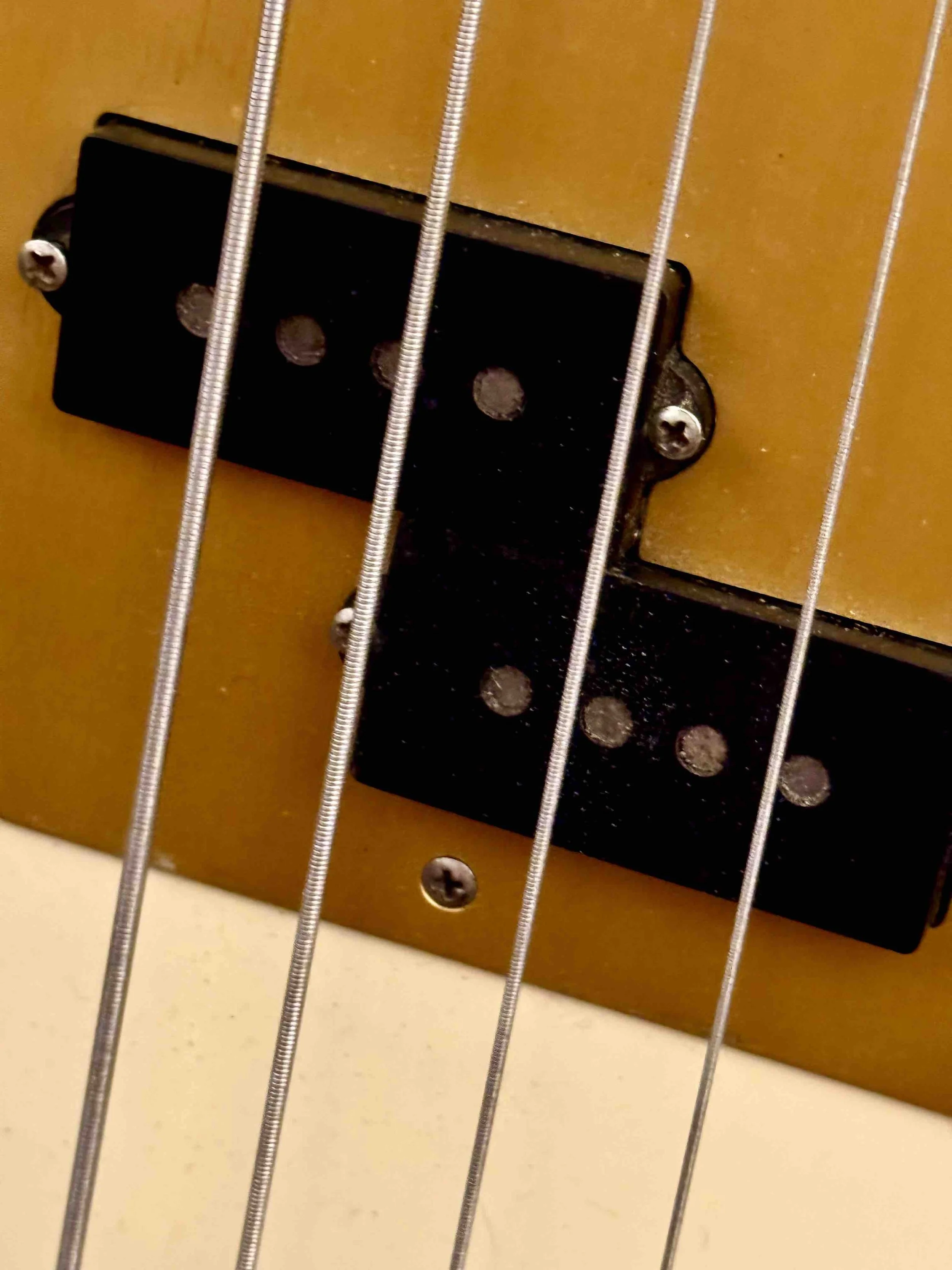fender vintage bass pickups.jpg