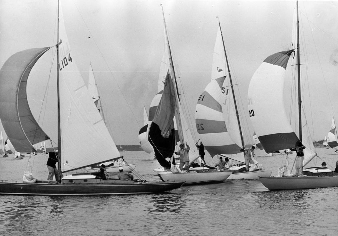 ....Sharks racing in 1965, photo: ASS..Hait kilparadalla vuonna 1965. kuva: ASS....