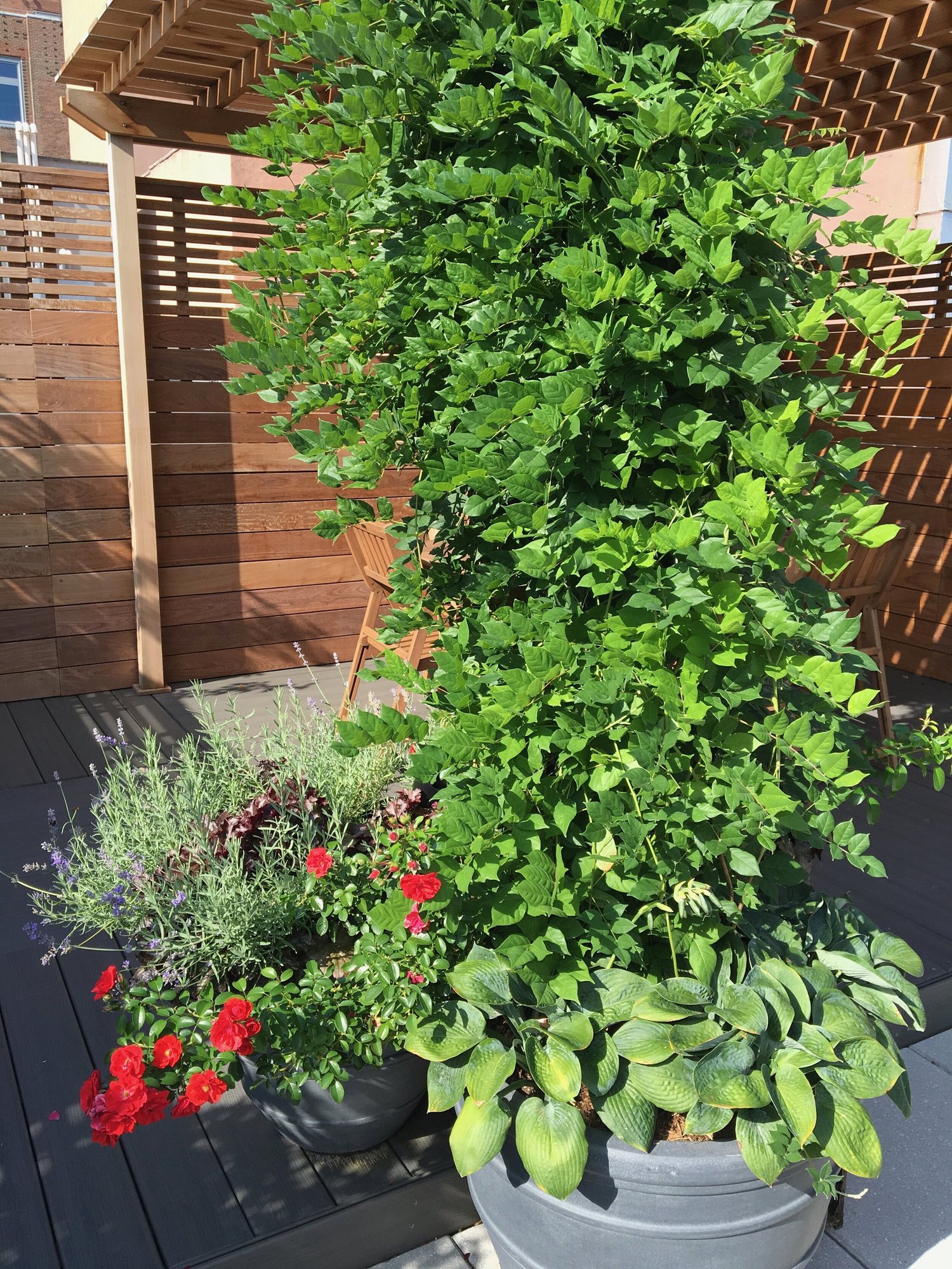 backyard design companies near me on Nyc Landscape Design And Construction Drip Irrigation Outdoor Lighting Garden Design
