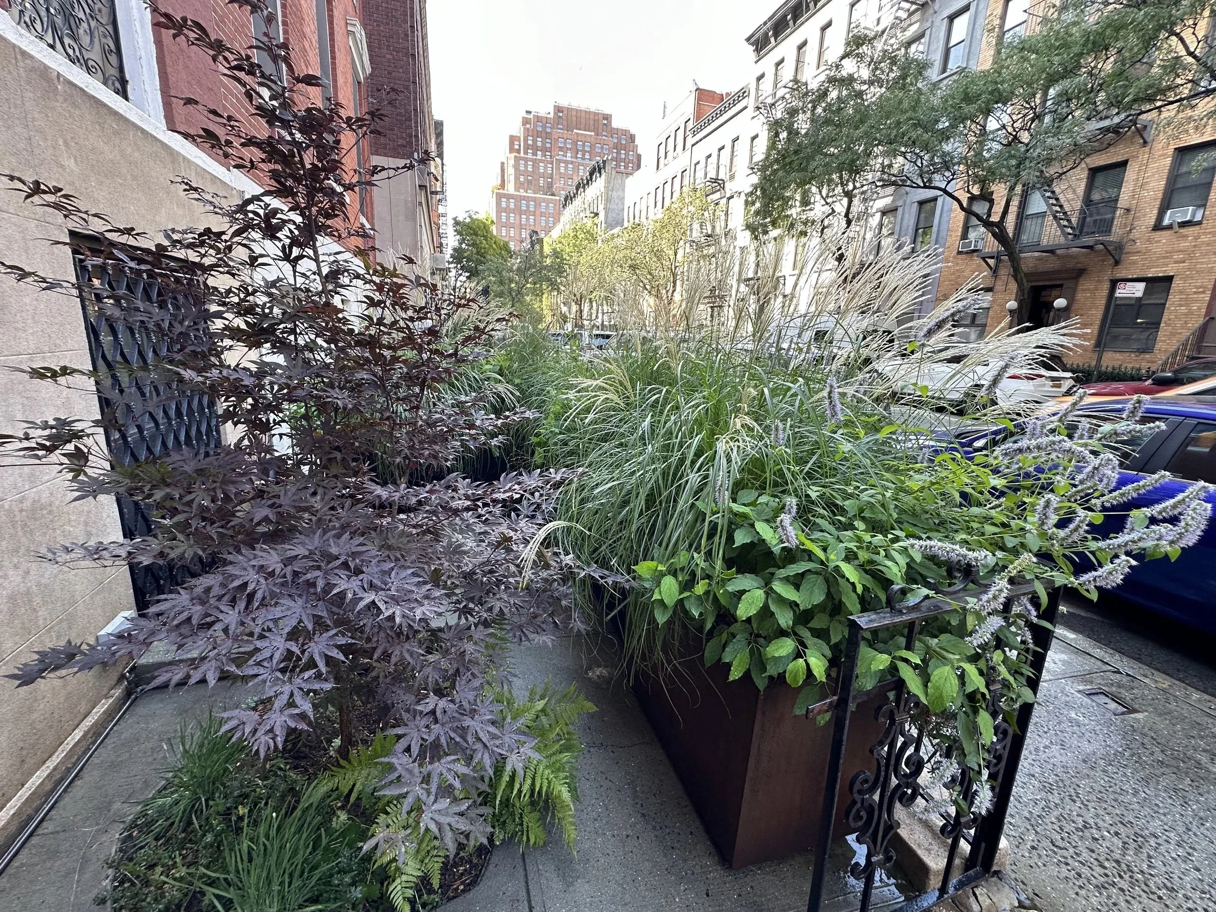 NYC Landscape Design Services: How to Transform Any Outdoor Space in the City