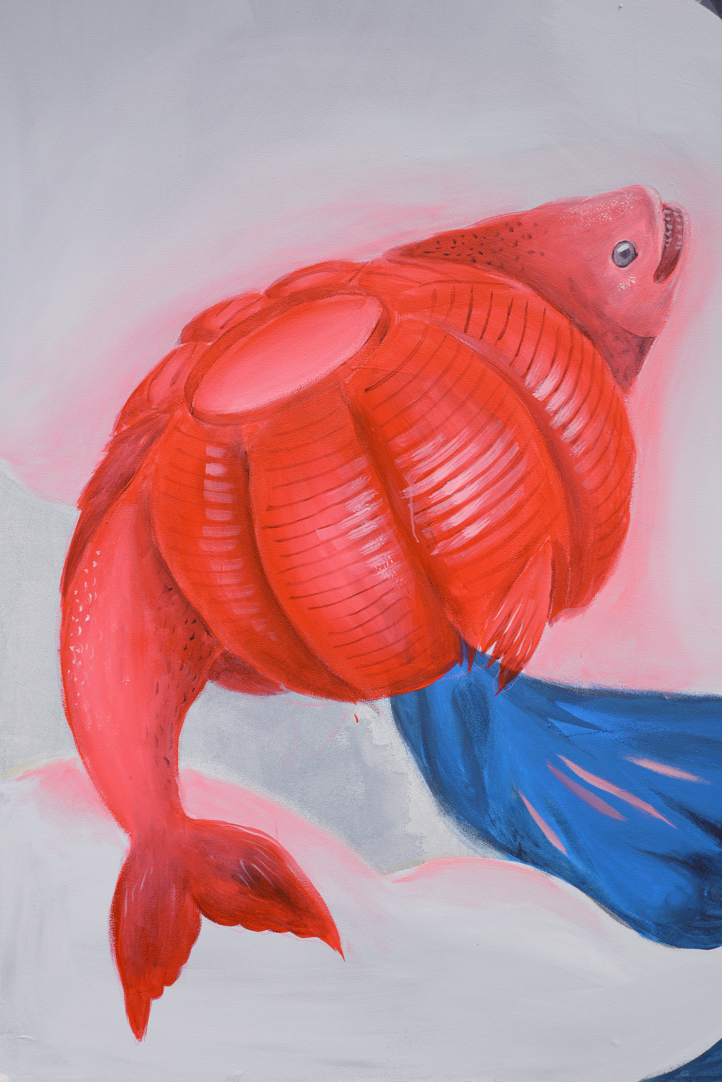 fish.jpg