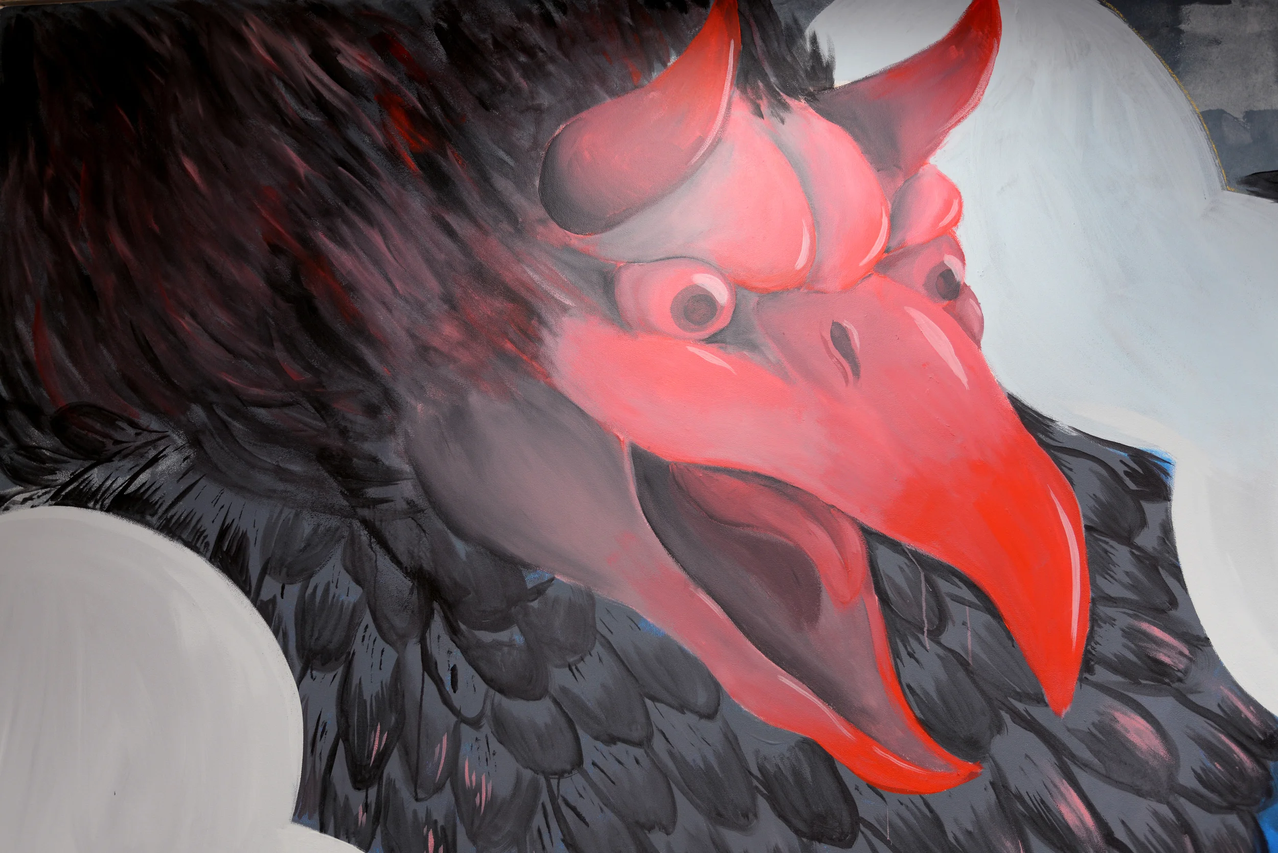 face.jpg