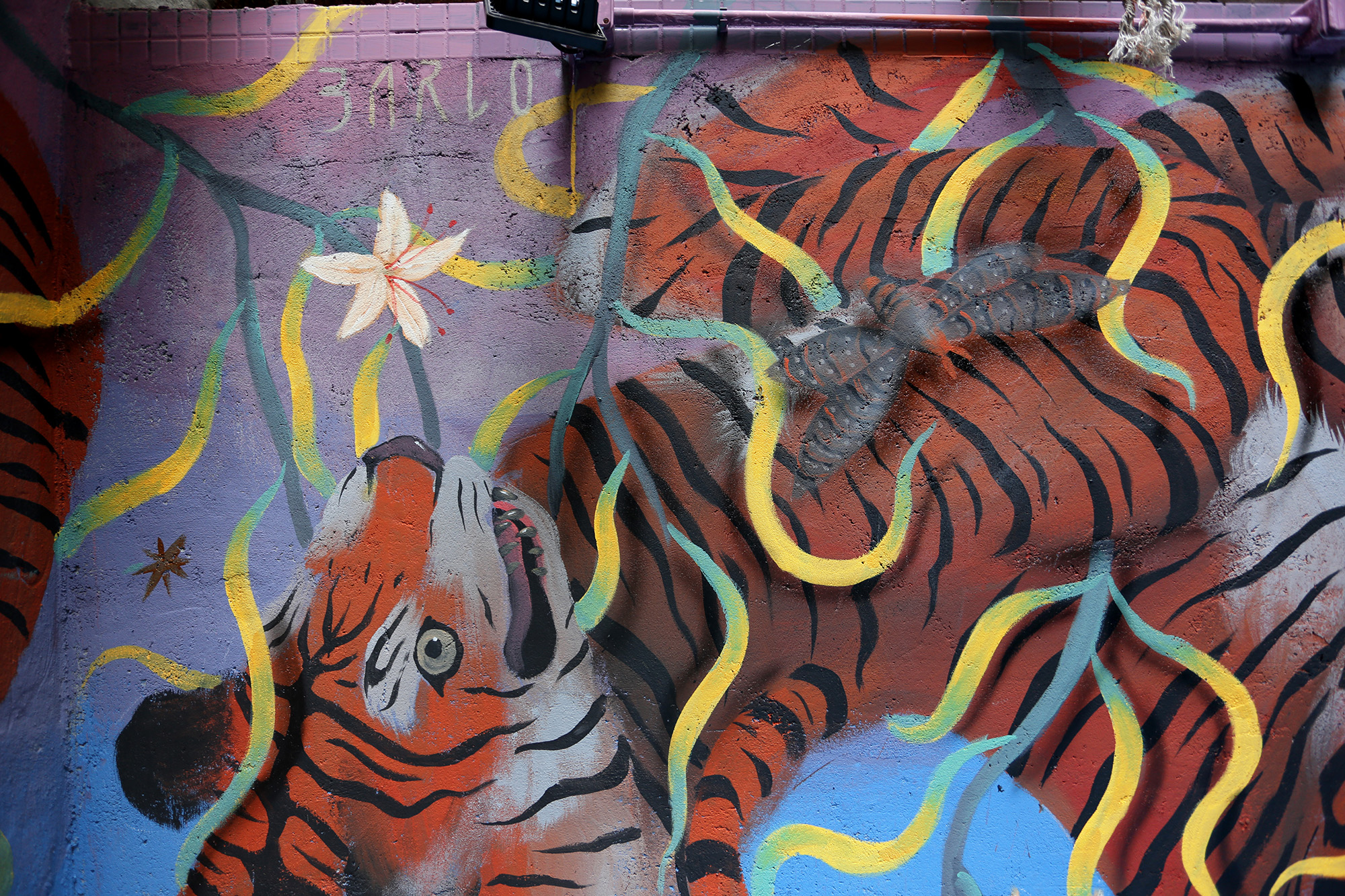 WorldUpsidedown_detail.jpg