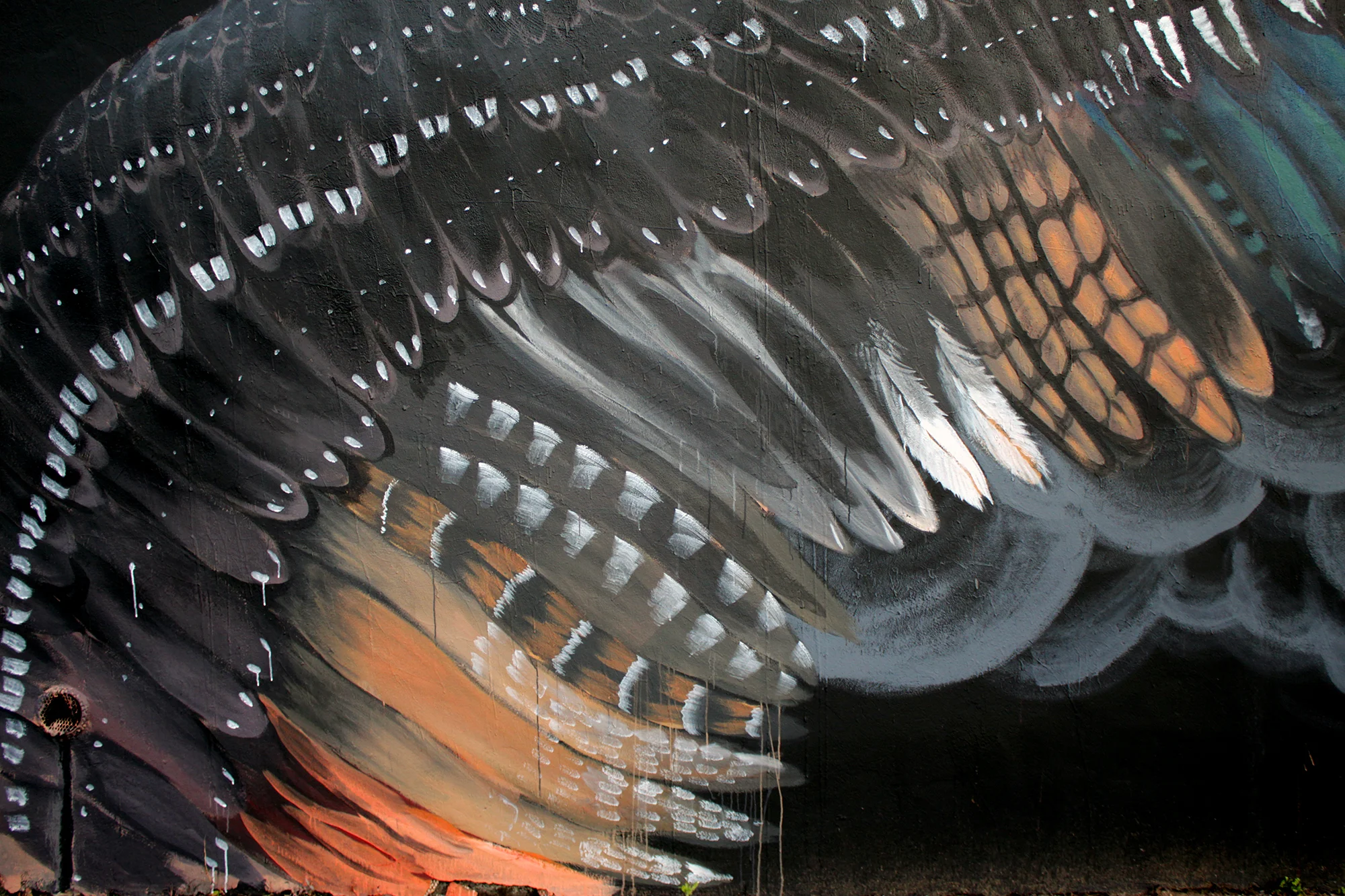 FoNY_detail 1.jpg