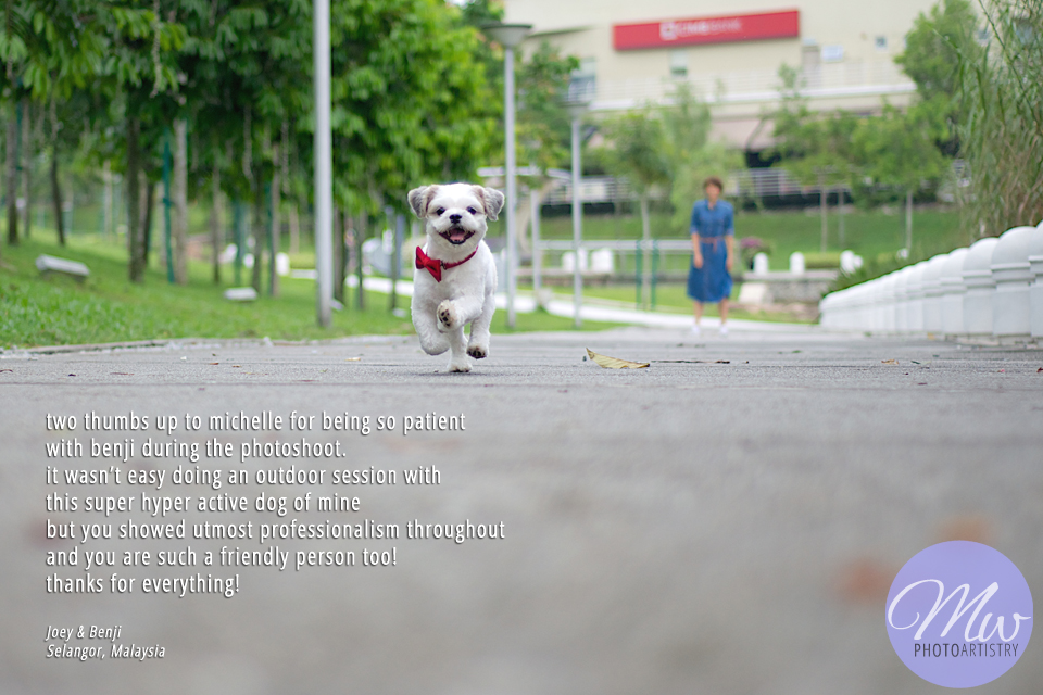 Malaysia Pets Photographer Testimonial Photo 01.jpg