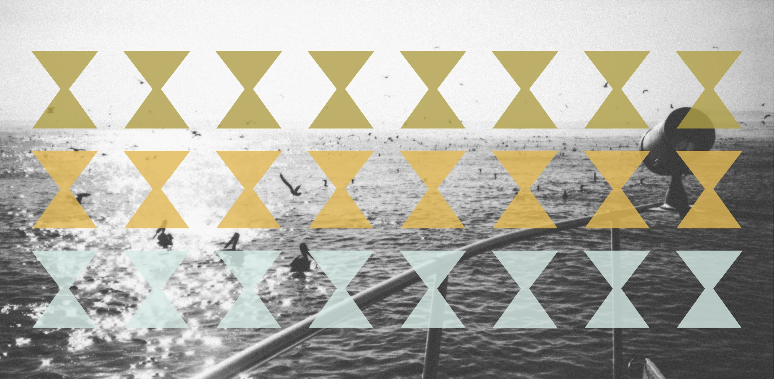Ryan Snow Sea Birds with Hourglass, Pierpont Bay Ventura 2013.jpg