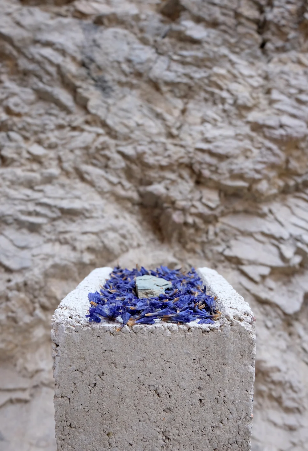 emma_lofstrom_installation11.jpg