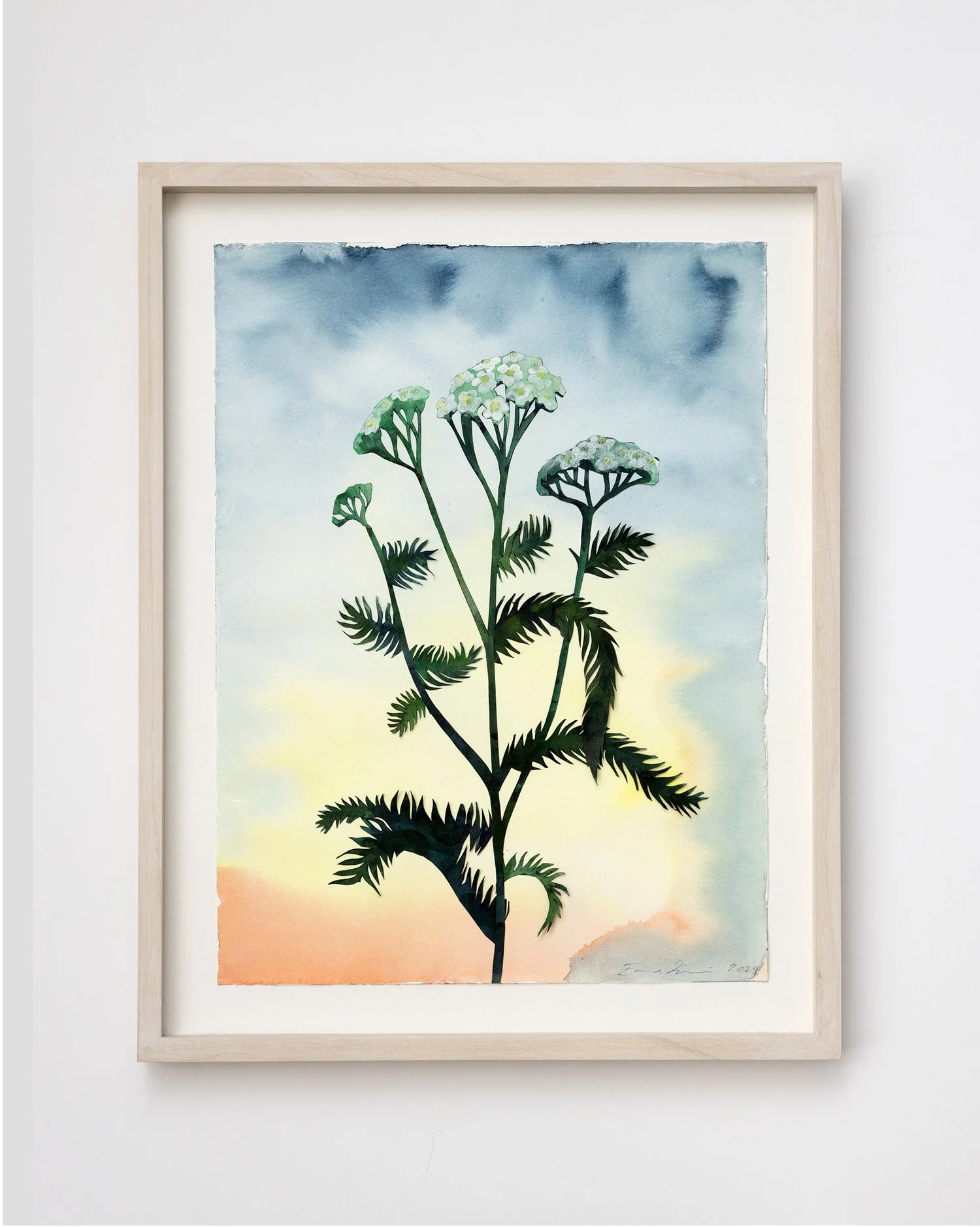 emma_lofstrom_herbarium.jpg
