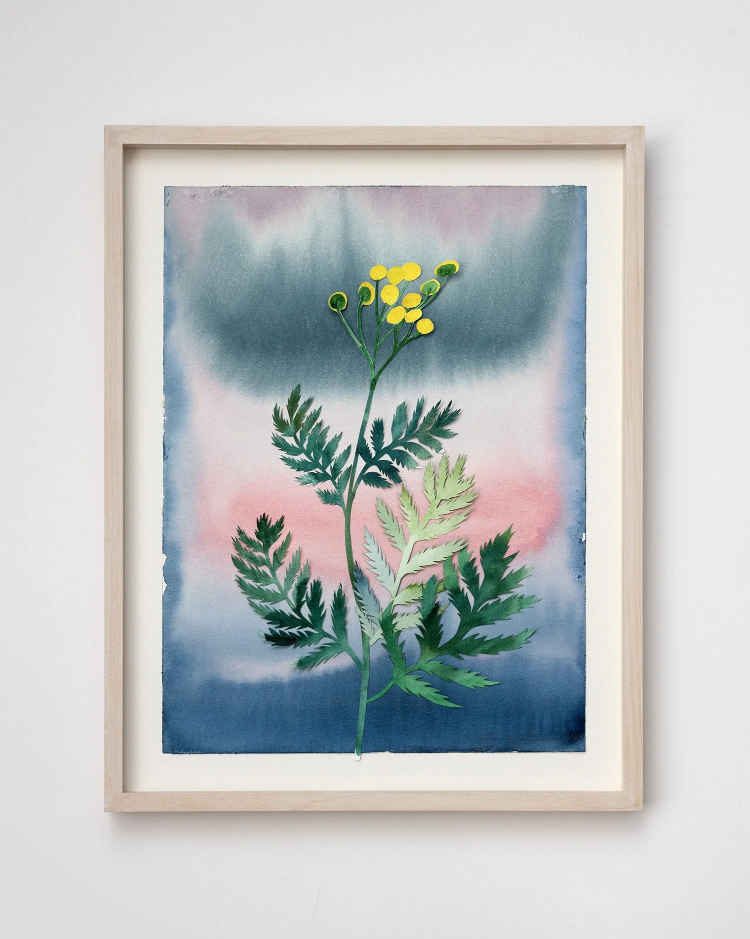 emma_lofstrom_herbarium2.jpg