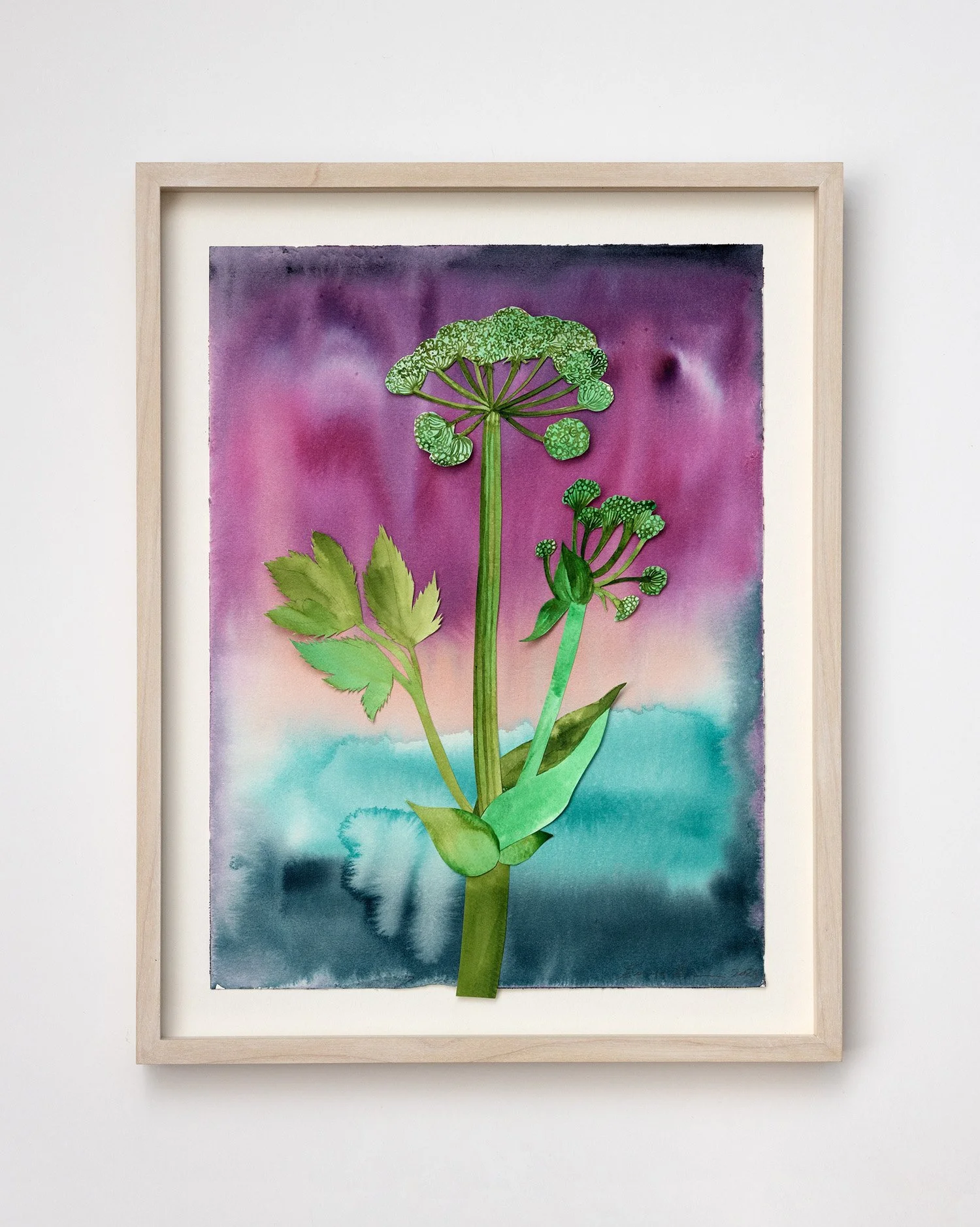 emma_lofstrom_herbarium3.jpg