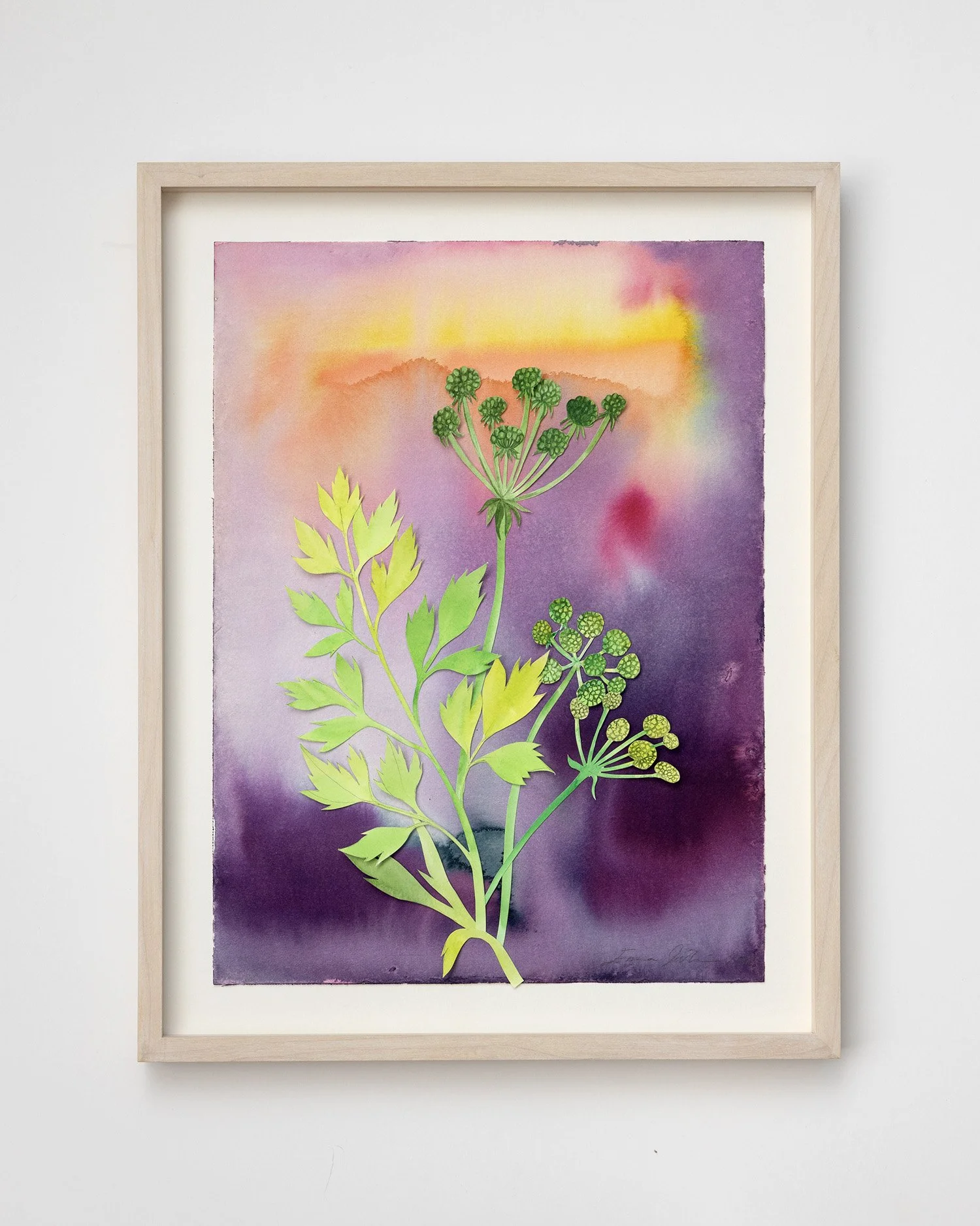 emma_lofstrom_herbarium4.jpg