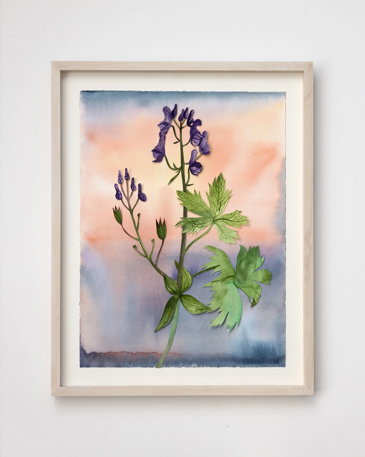 emma_lofstrom_herbarium6.jpg