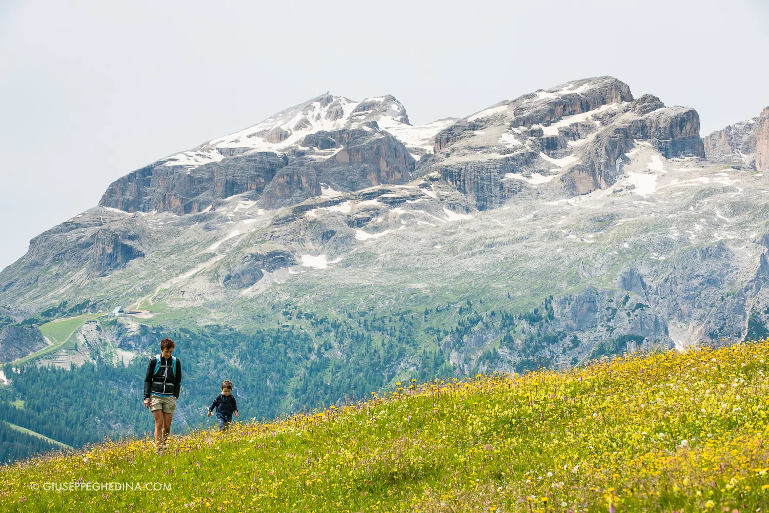Sullo sfondo il Gruppo del Sella_ a sinistra la cima del Piz Boè _ foto @giuseppeghedina.com
