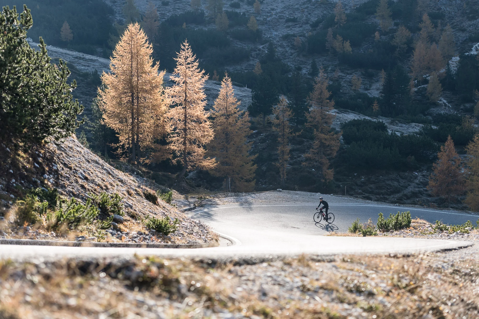 Uscire dall’ombra il primo mattino. PHOTO ©GIUSEPPEGHEDINAFOTOGRAFO