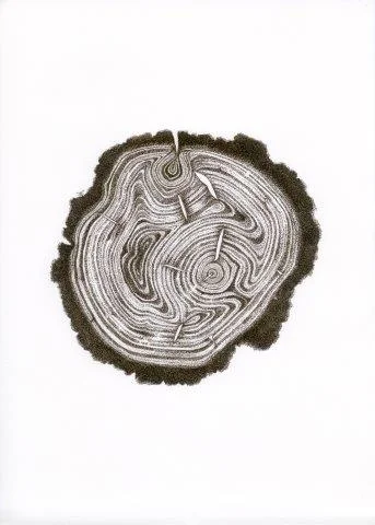 Dendrochronology.jpg