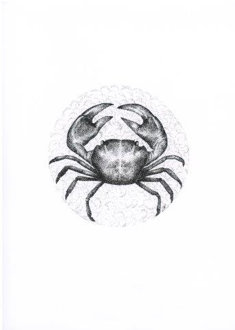Crab.jpg