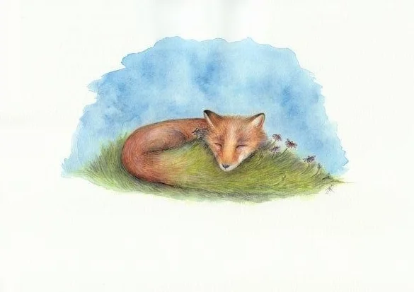 Fox.jpg