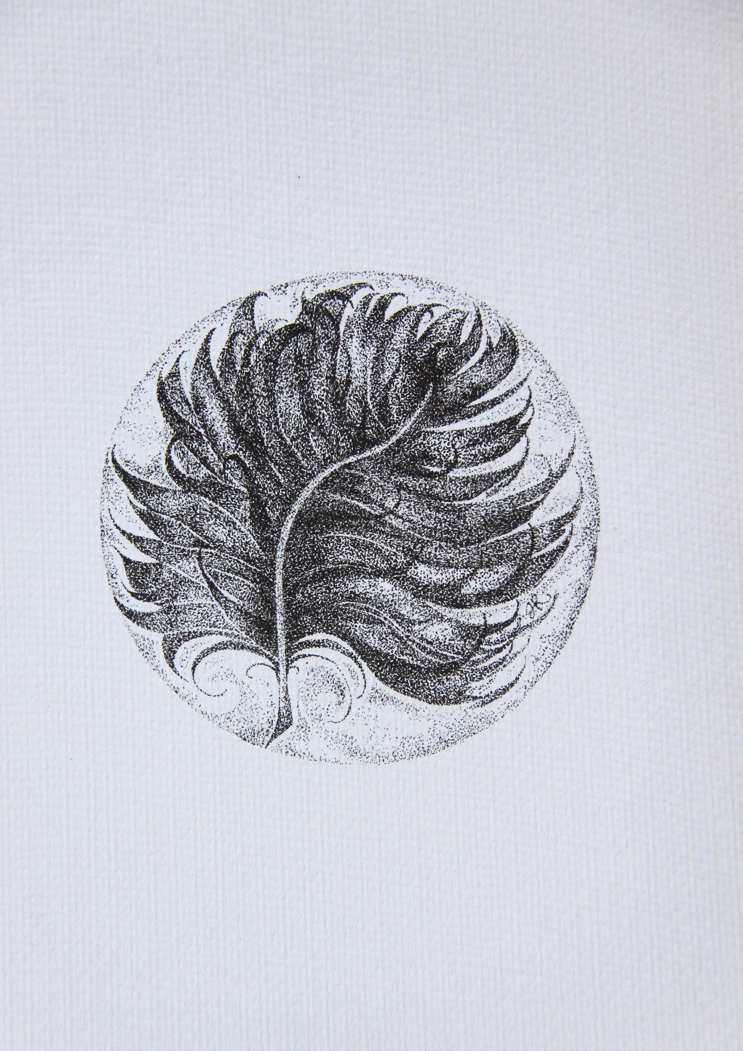 Feather.JPG