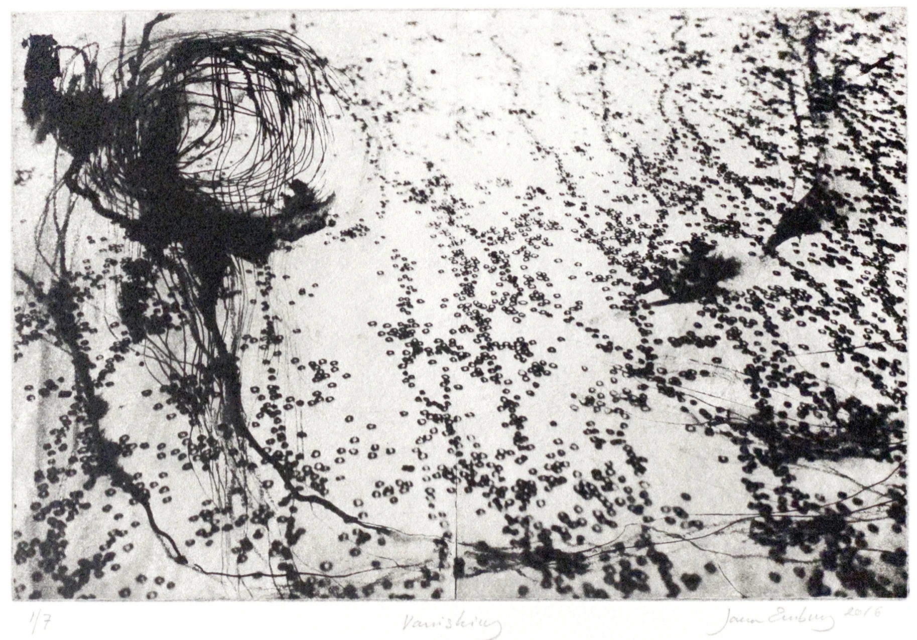 Vanishing, 2016photogravure, ed. of 745 x 51 cm. (framed); (image size: 16.5 x 24.5,cm.)[Ref. JE3]