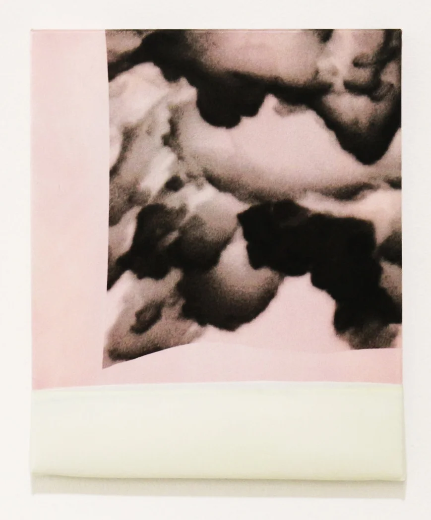 Concomitant of the least mentioned, 2016colour process on electron microscopy, digital print on silk and polyester26 x 30 cm.[Ref. JN2]