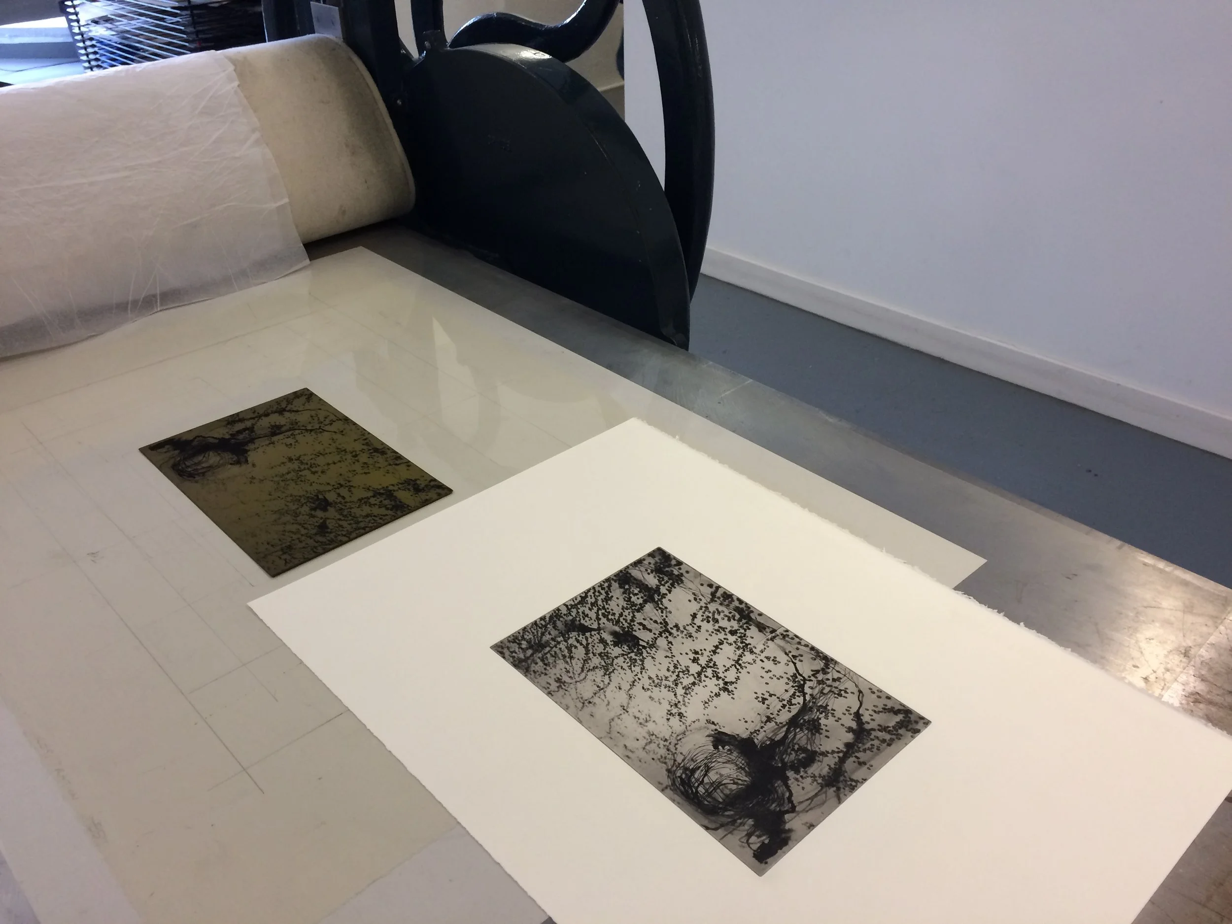 Photo © John McNaught