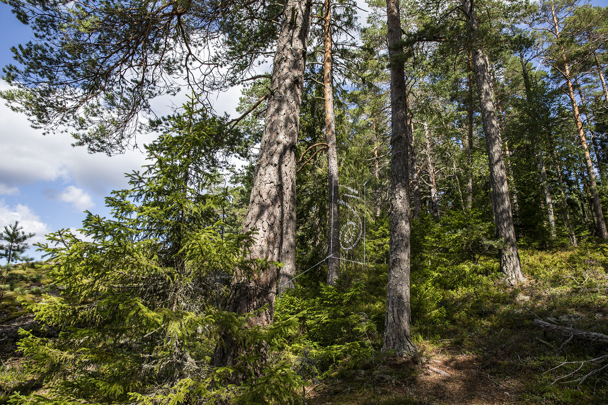 Josefina Nelimarkka_the path of thought_3.jpg