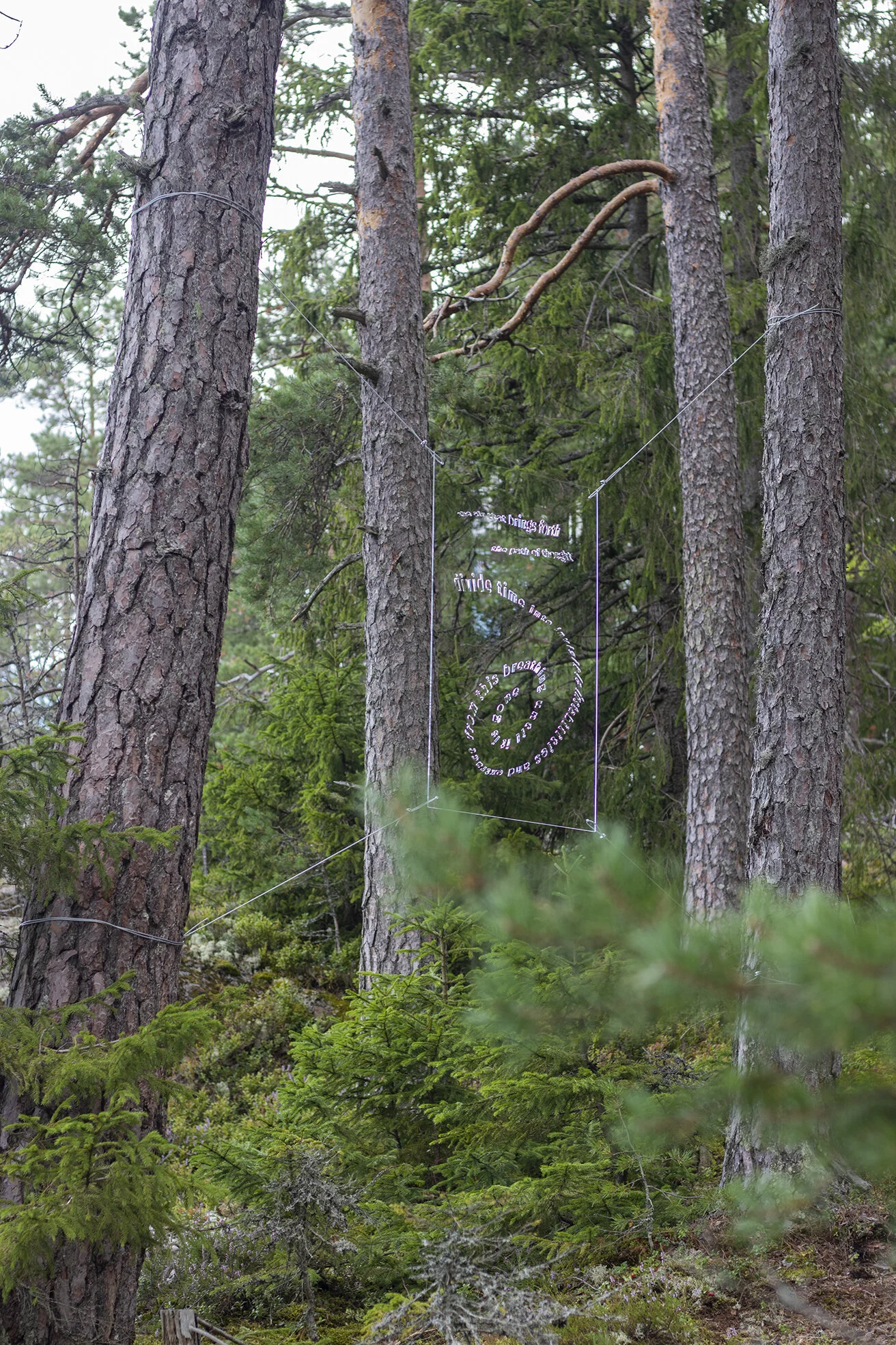 Josefina Nelimarkka_the path of thought_11.jpg