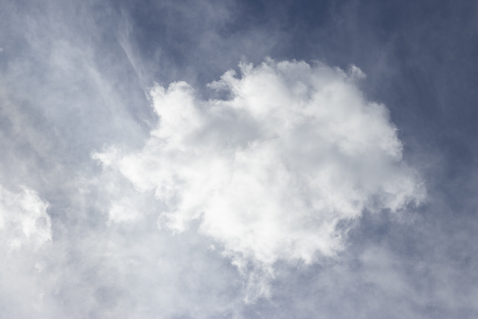 Josefina Nelimarkka_along the path_3.jpg