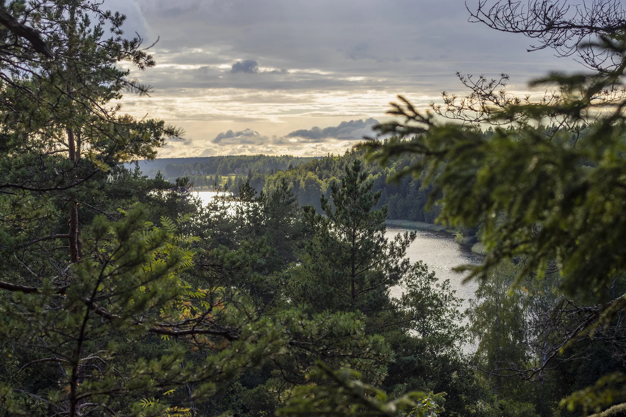 Josefina Nelimarkka_along the path_6.jpg