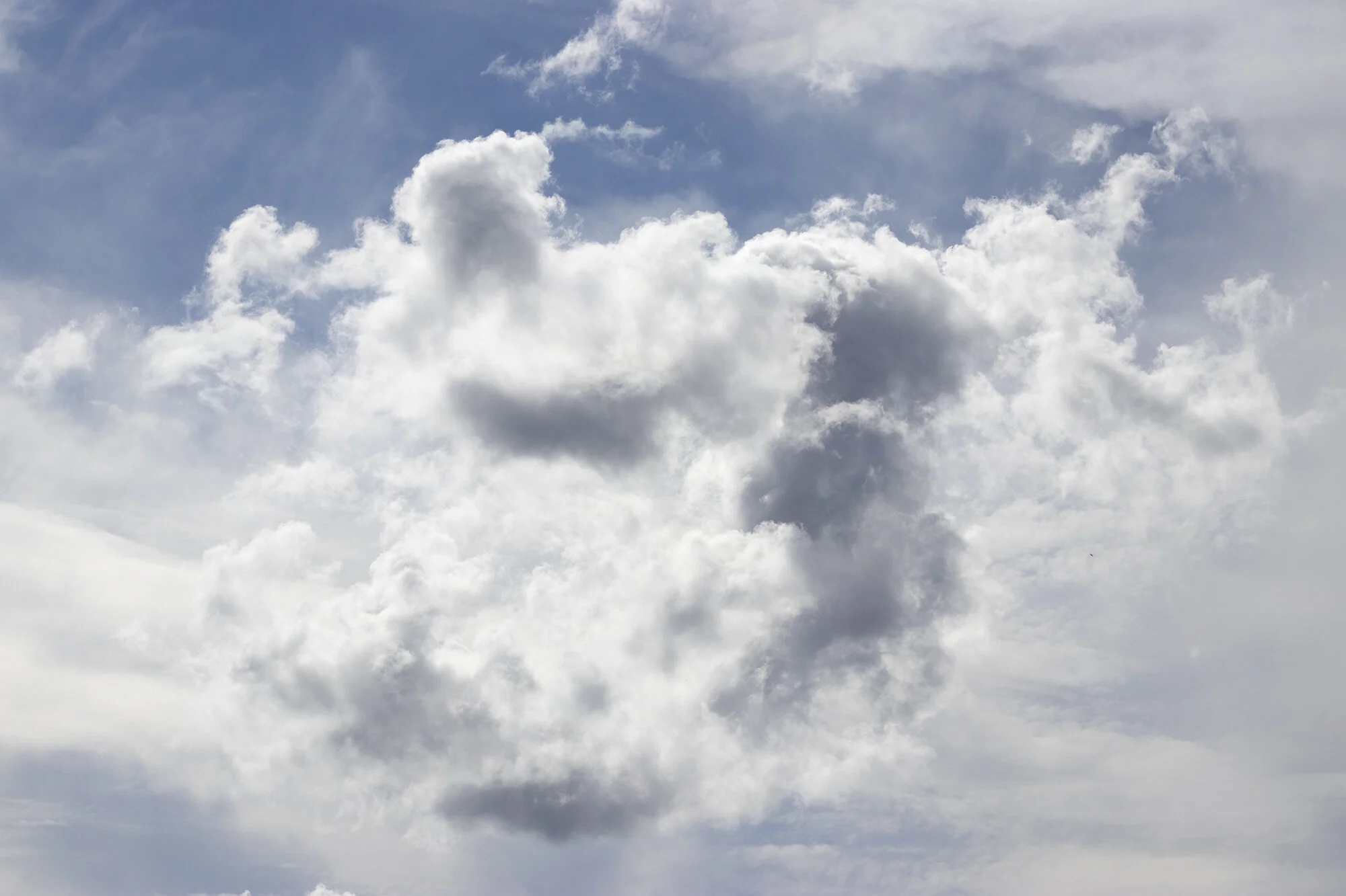 Josefina Nelimarkka_along the path_5.jpg