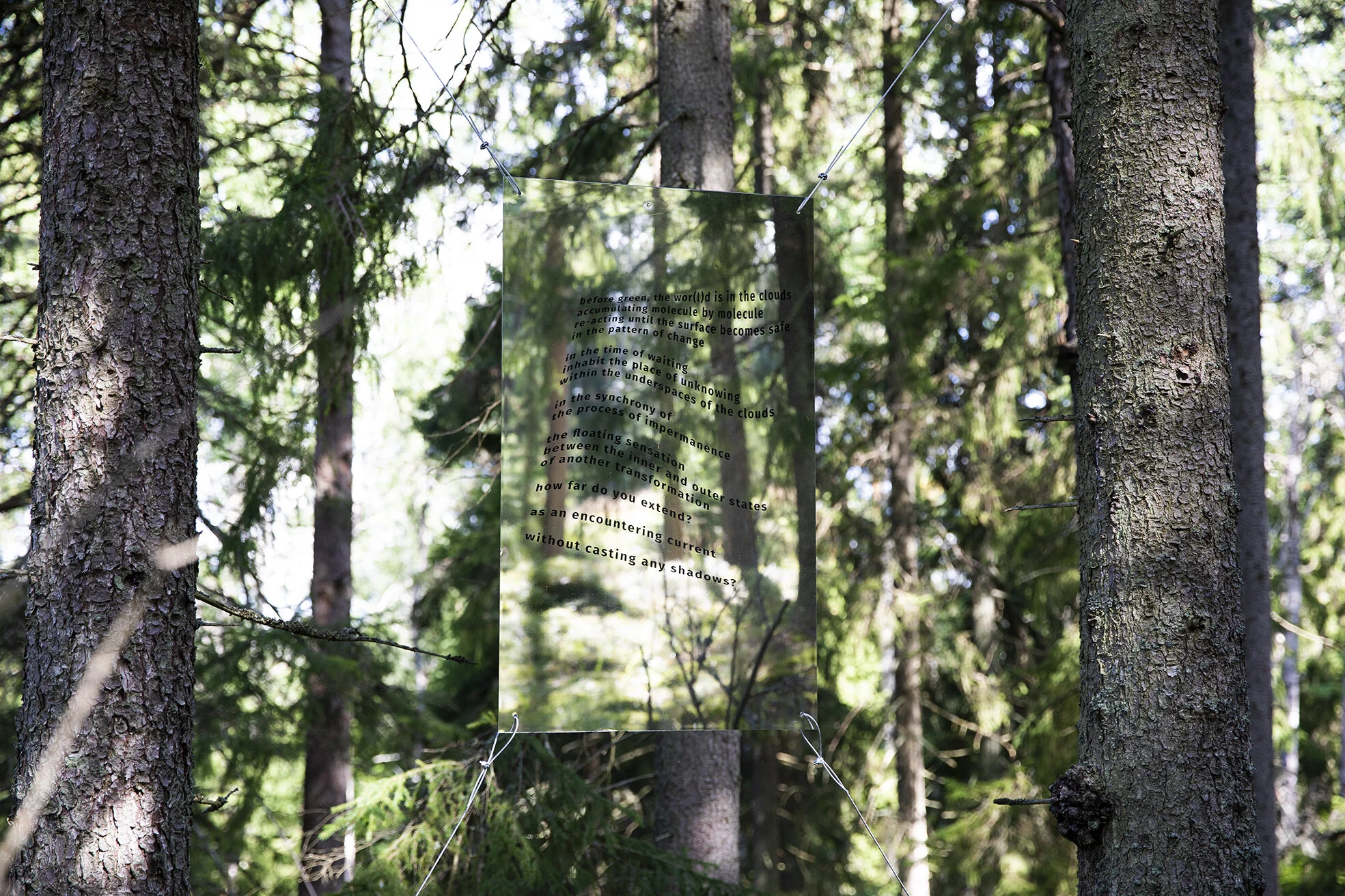 Josefina Nelimarkka_without casting any shadows_2.jpg