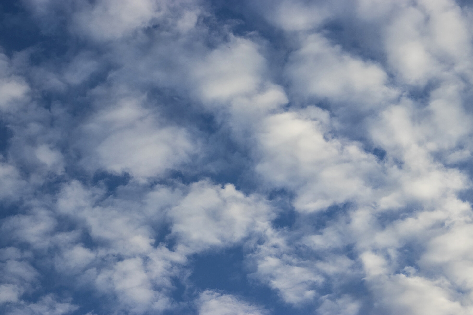 Josefina Nelimarkka_forest moments_3.jpg