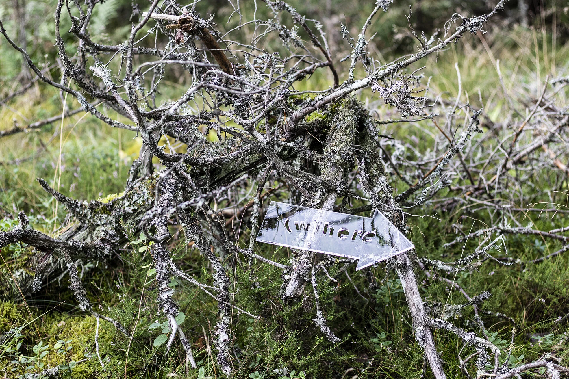 Josefina Nelimarkka_where_1.jpg