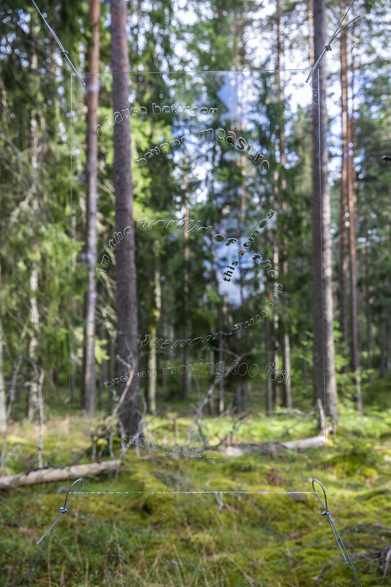 Josefina Nelimarkka_a pause between_4.jpg