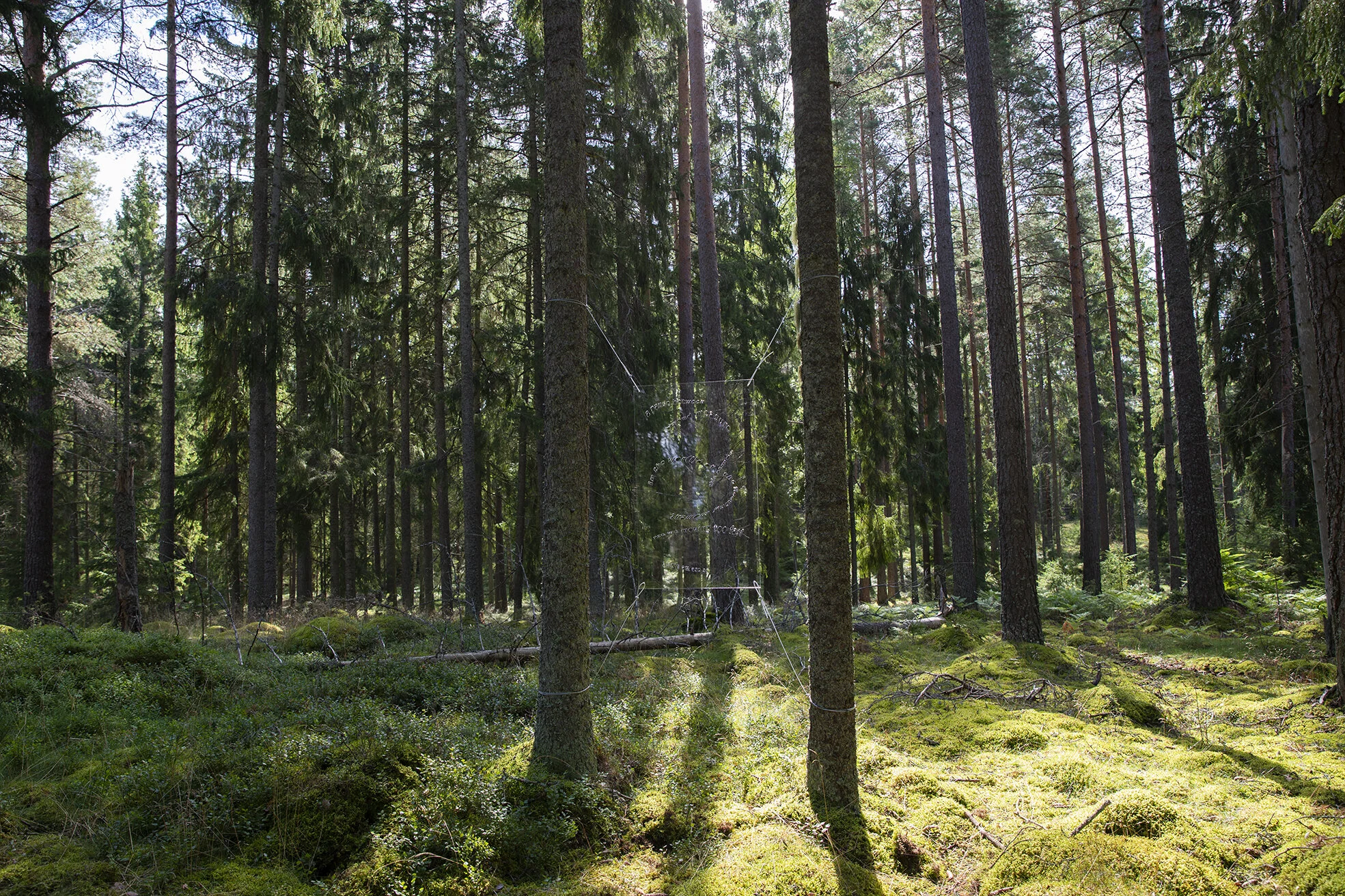 Josefina Nelimarkka_a pause between_1.jpg