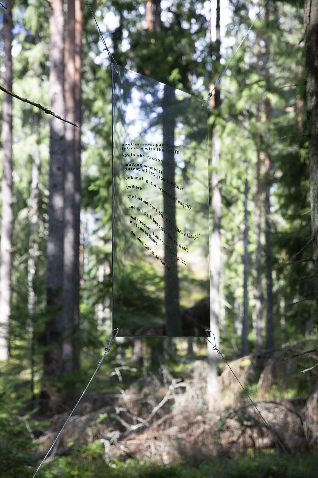 Josefina Nelimarkka_the wind cannot be trusted_1.jpg