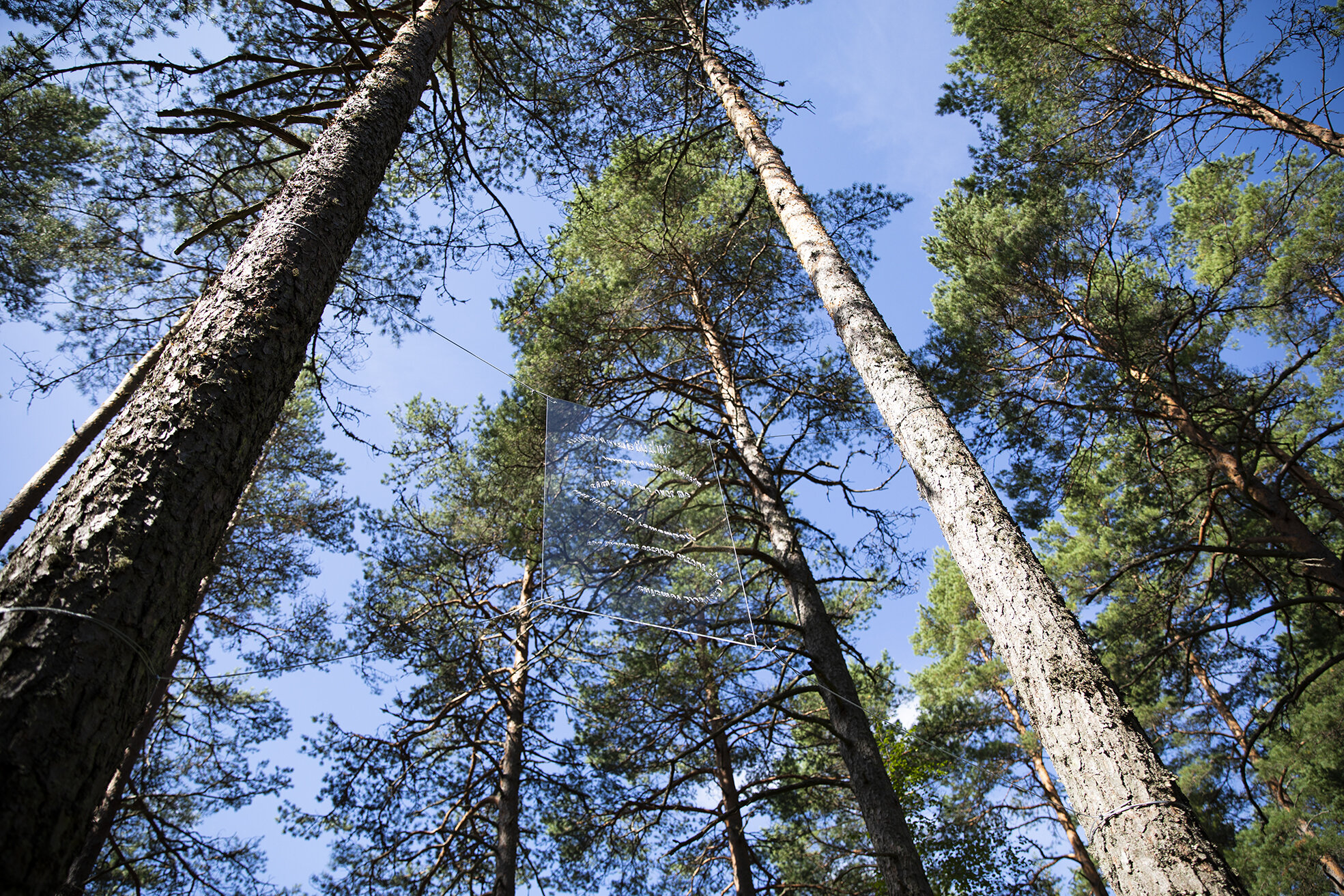 Josefina Nelimarkka_what kind of poem is the cloud_4.jpg