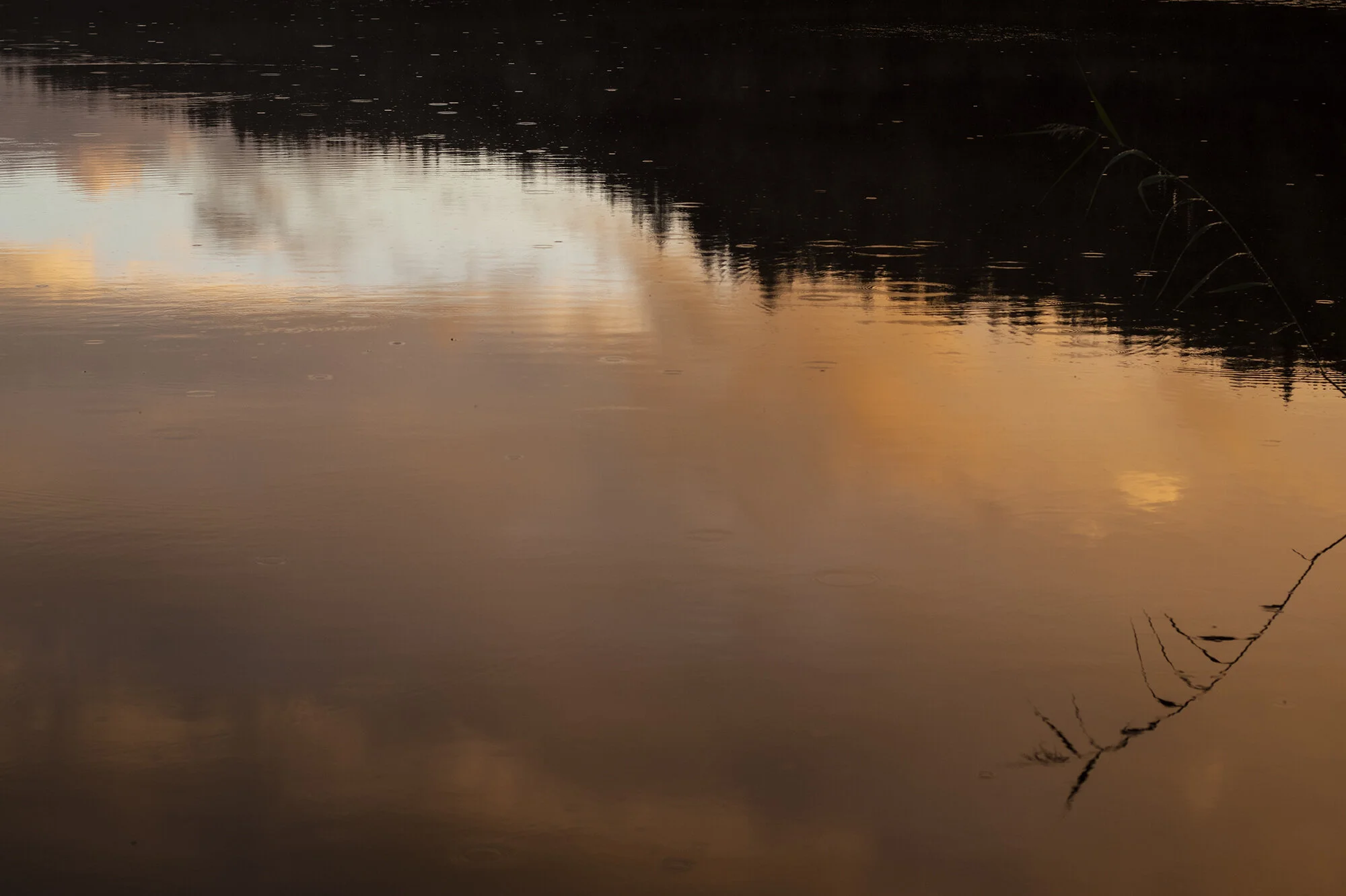 Josefina Nelimarkka_Clouds_4.jpg