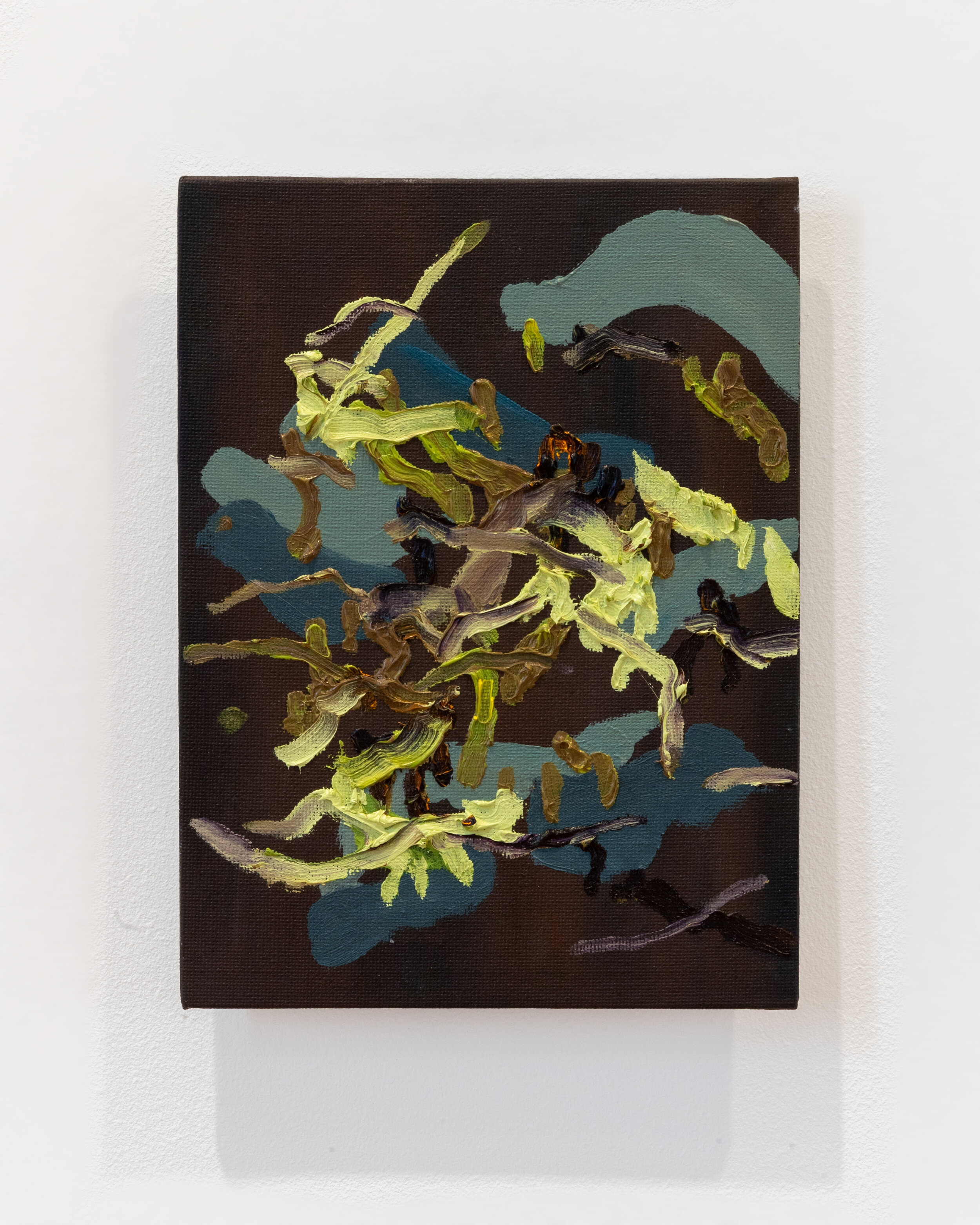  Alice Kemp, Leaves and their Shadows, 2020 