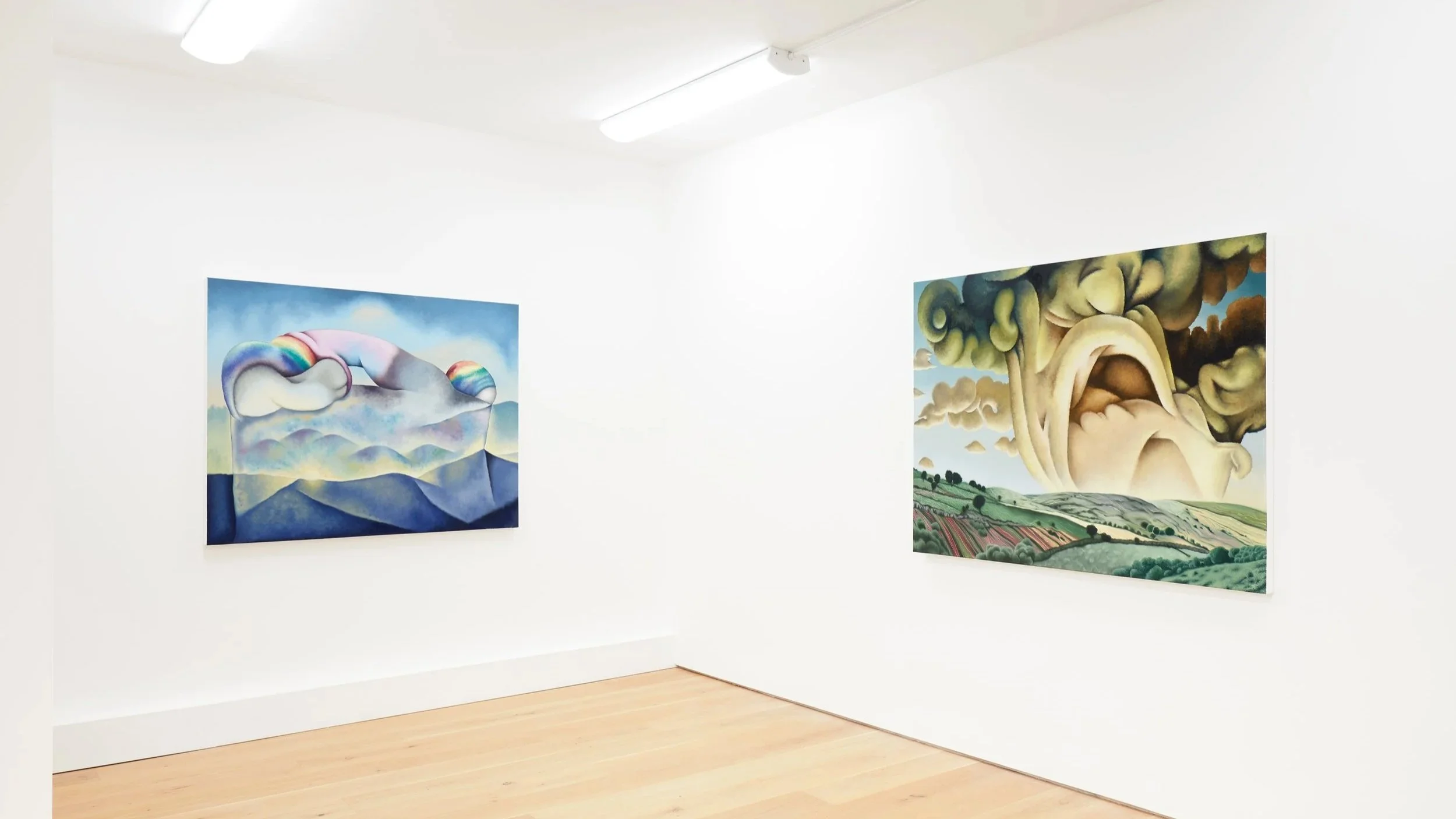    Jane Hayes Greenwood : Weird Weather      Co-presented with Castor     23 January - 7 March 2026  